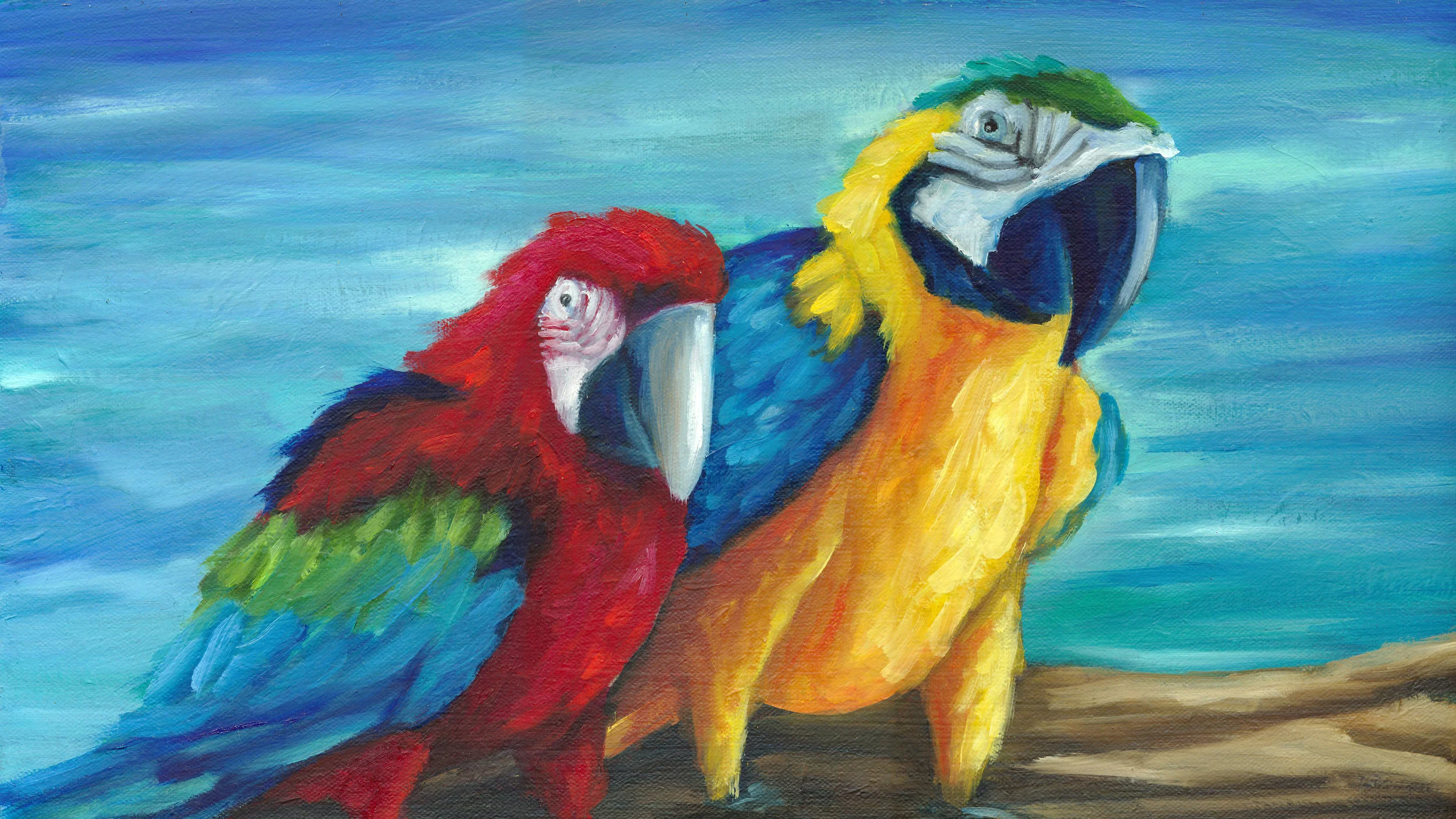 Dominican Birds