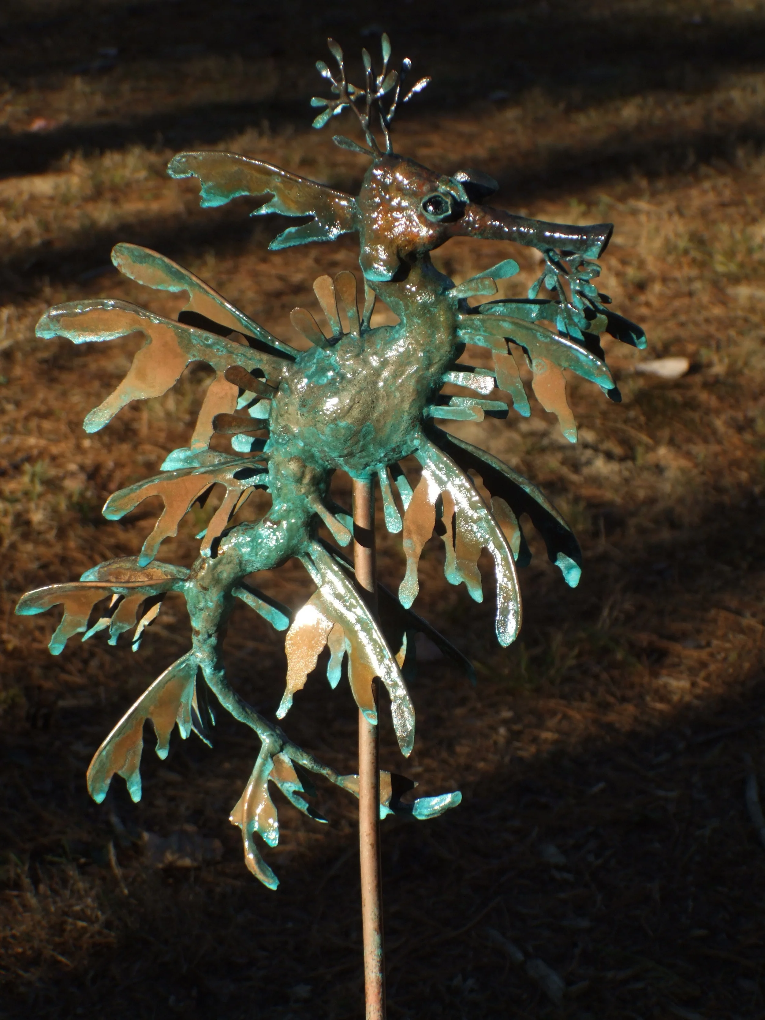 Sea Dragon