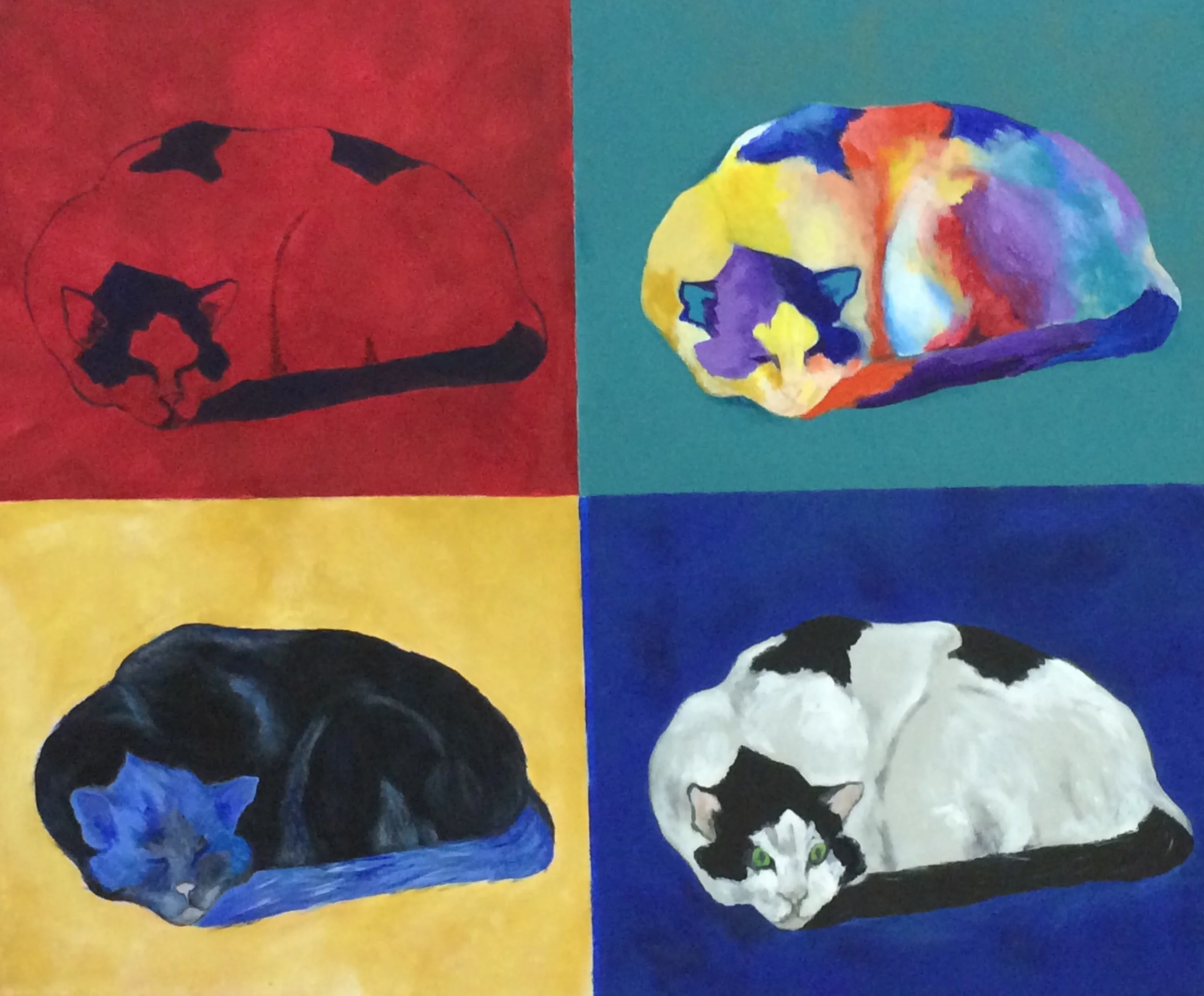 My Cats Cusco