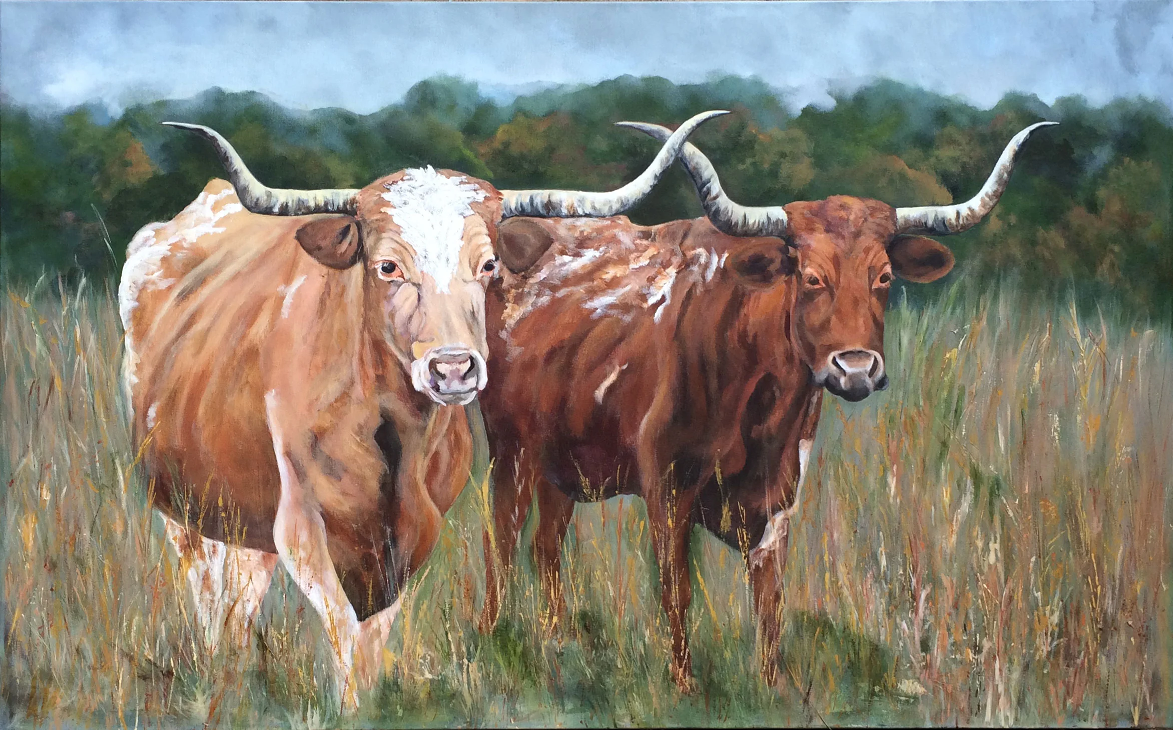 Texas Longhorns