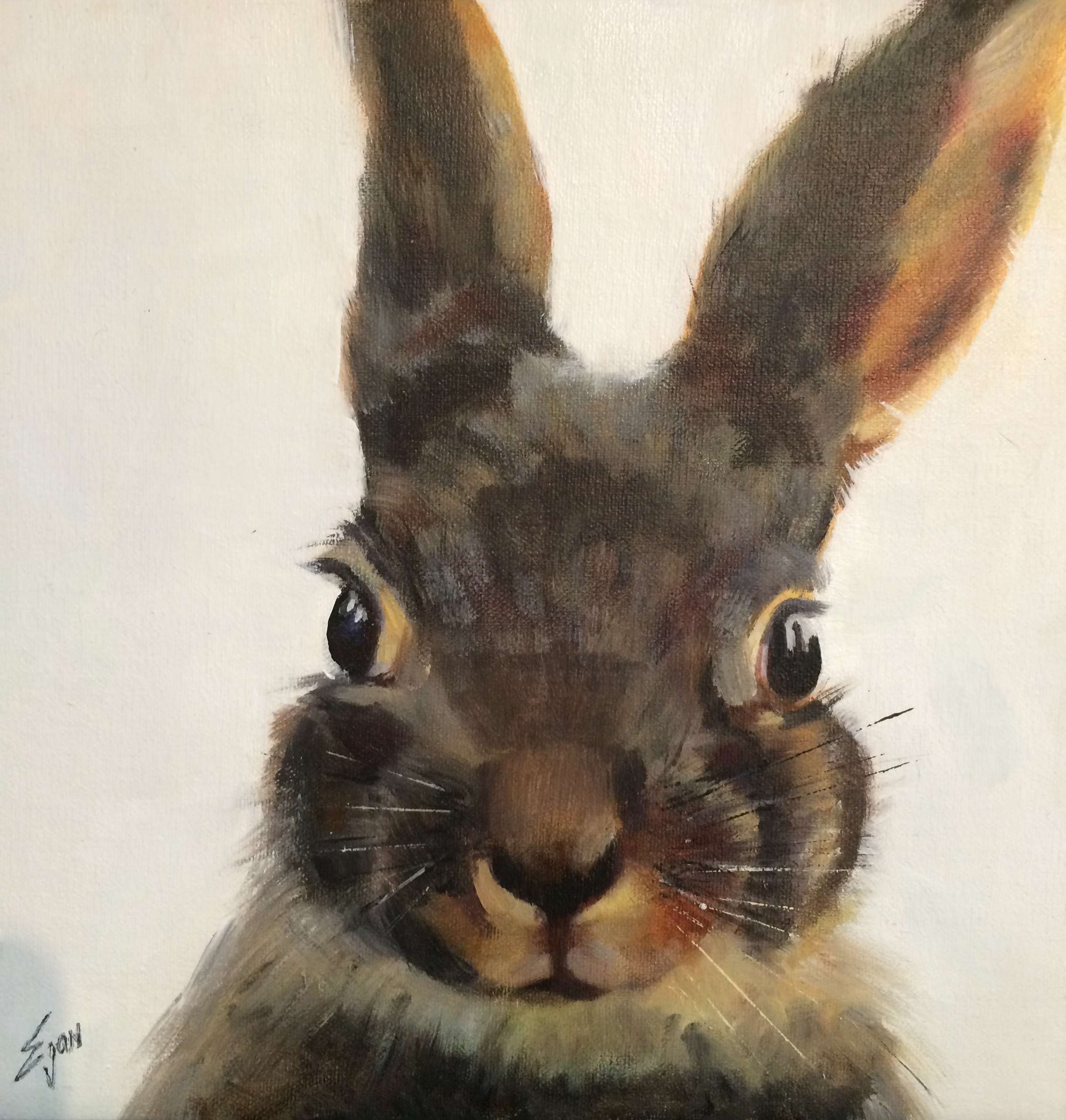Back Yard Bunny