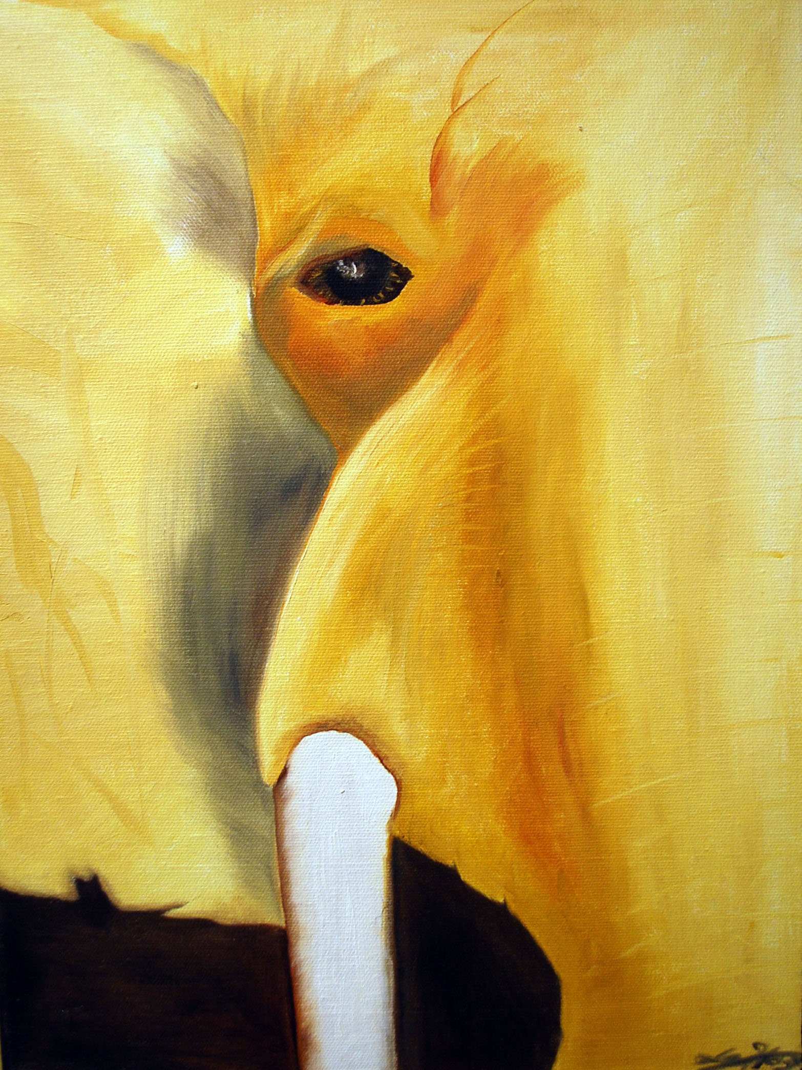 Moment in Yellow