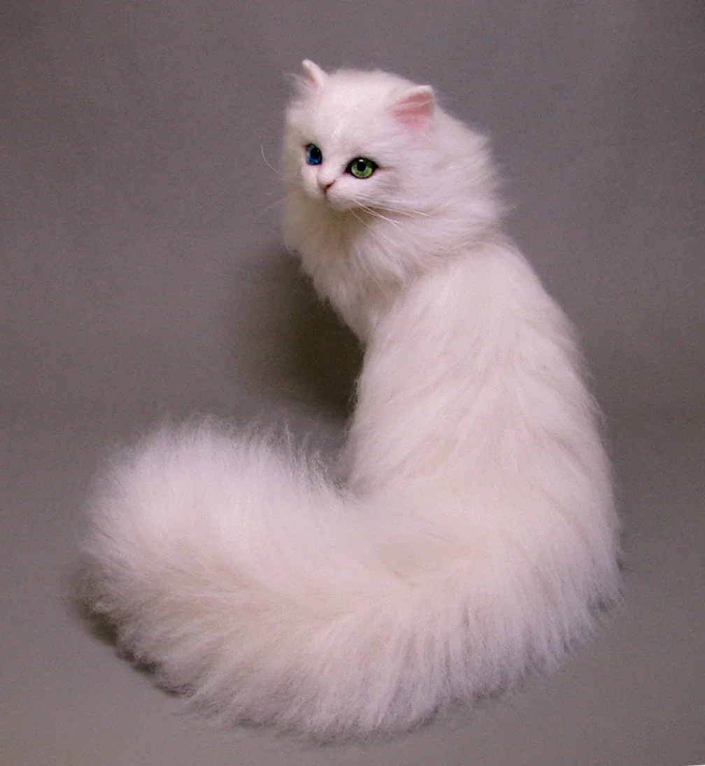 Felicia