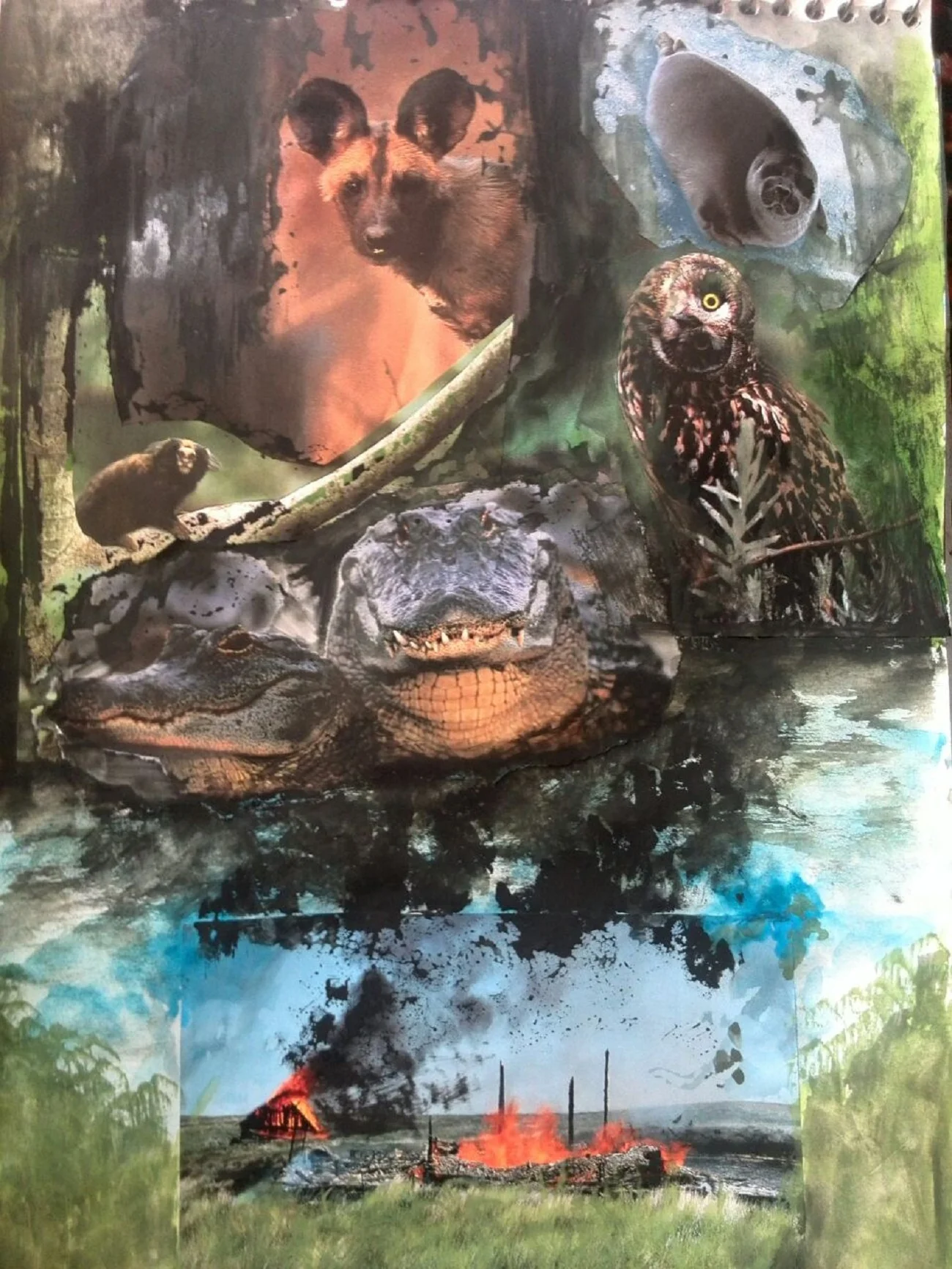 Wild Life 1