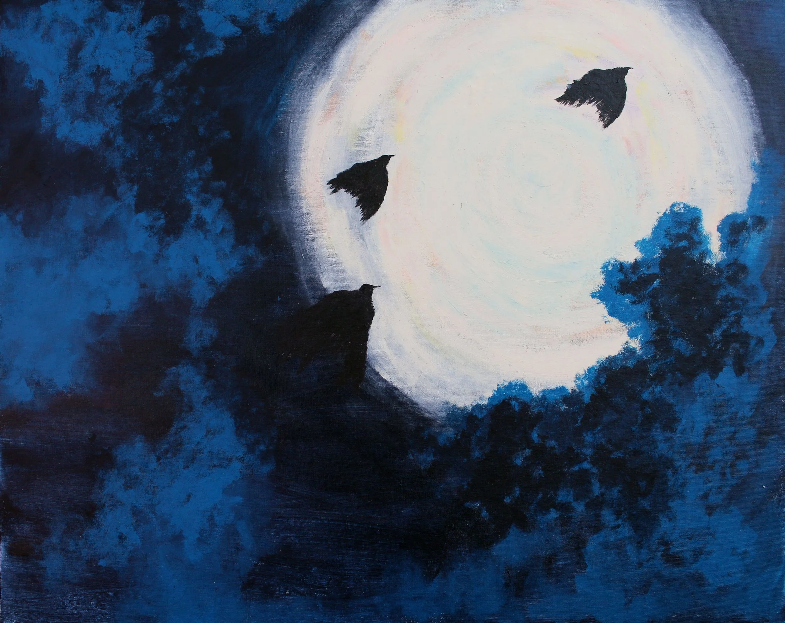 Night Birds