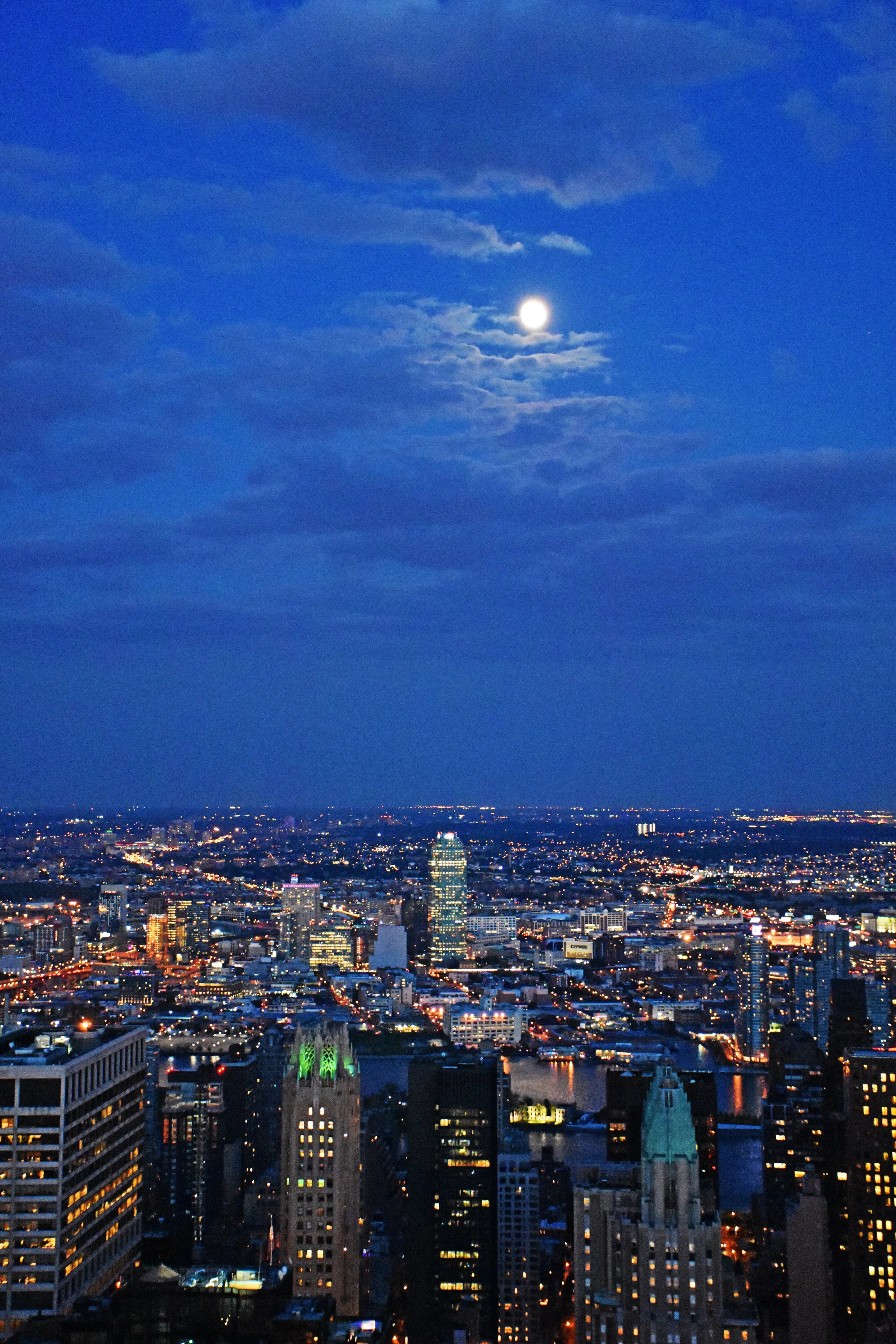 Moon Over the Misbegotten