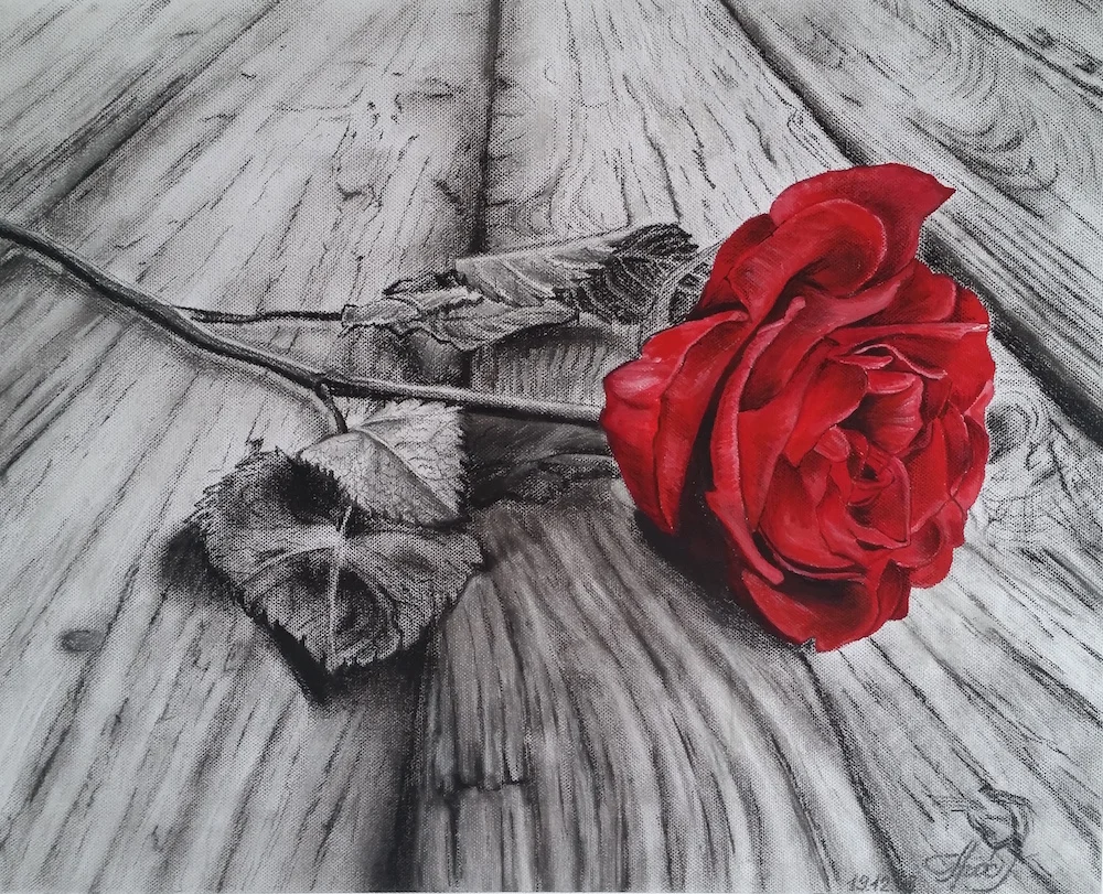 Red Rose