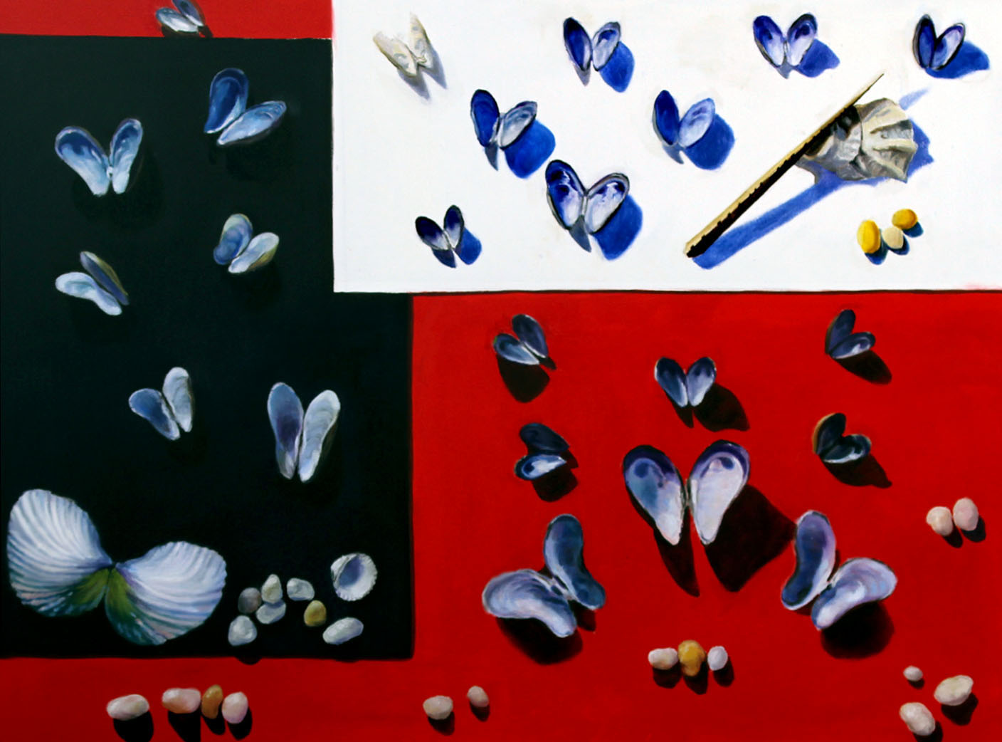 Shells