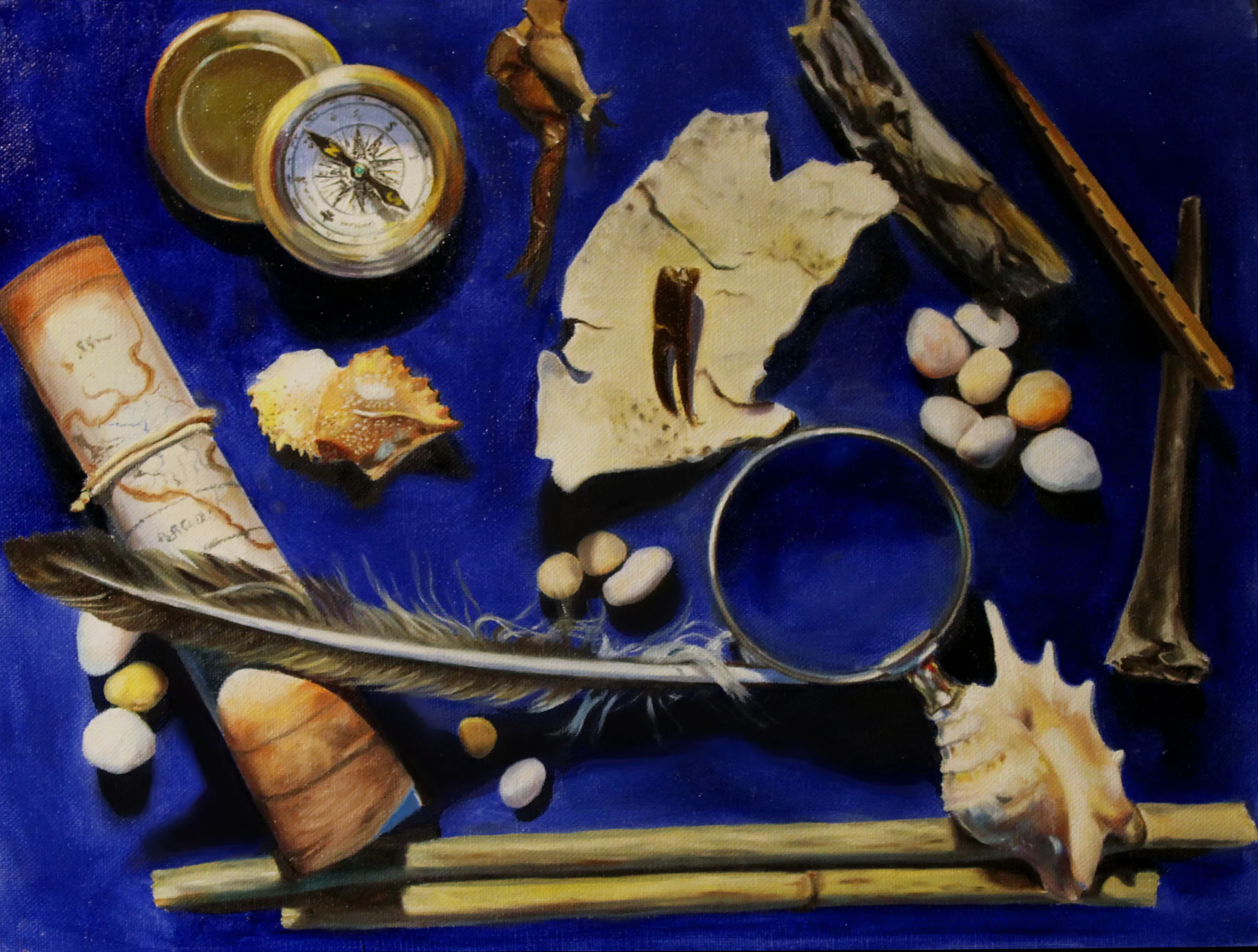 Treasures of the Seashore