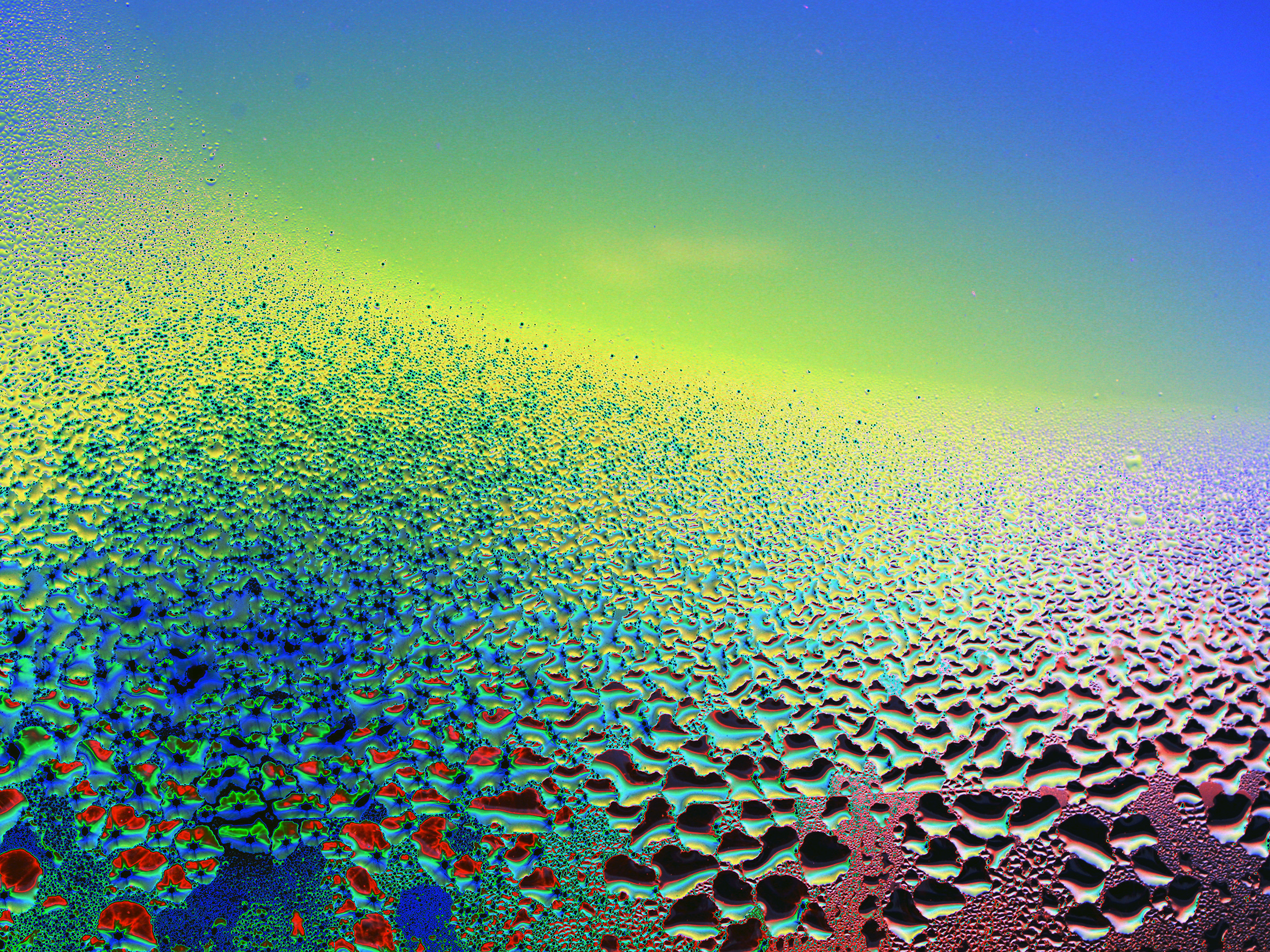 Sun Spots 6