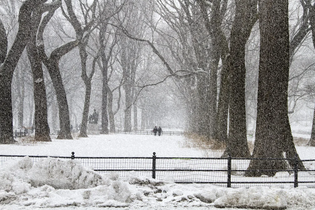 Central Park, NY