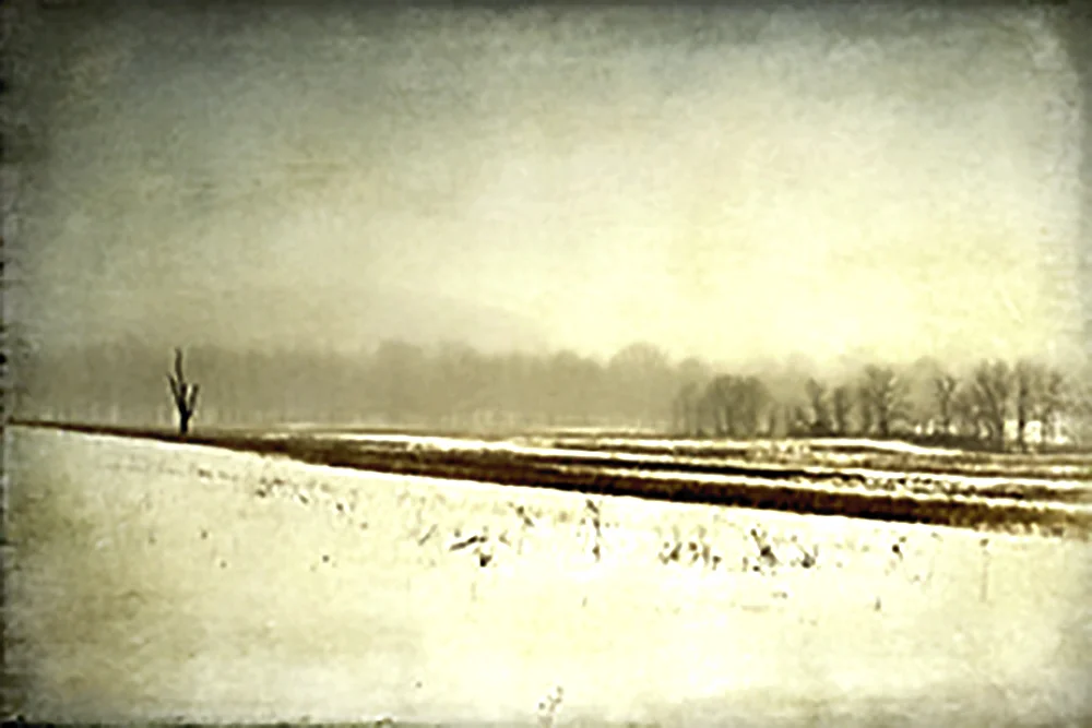 February Field