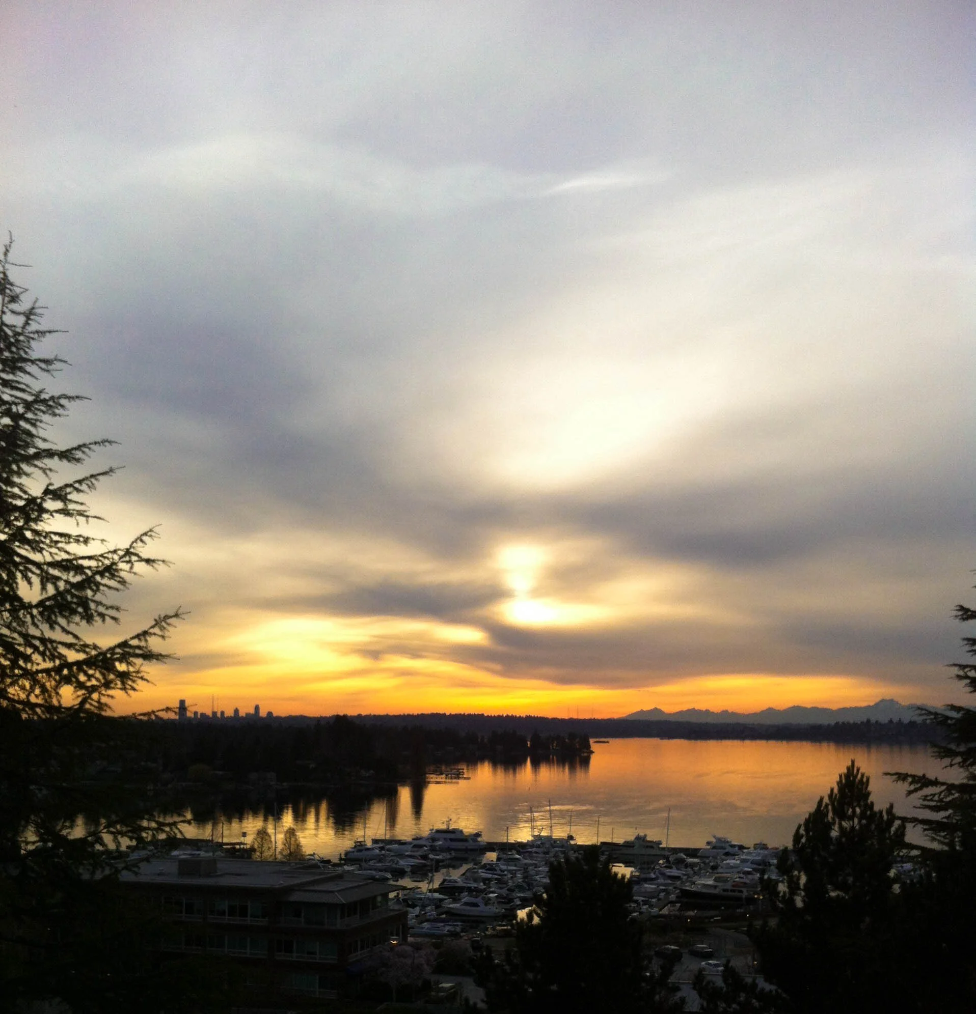 Golden Sunset