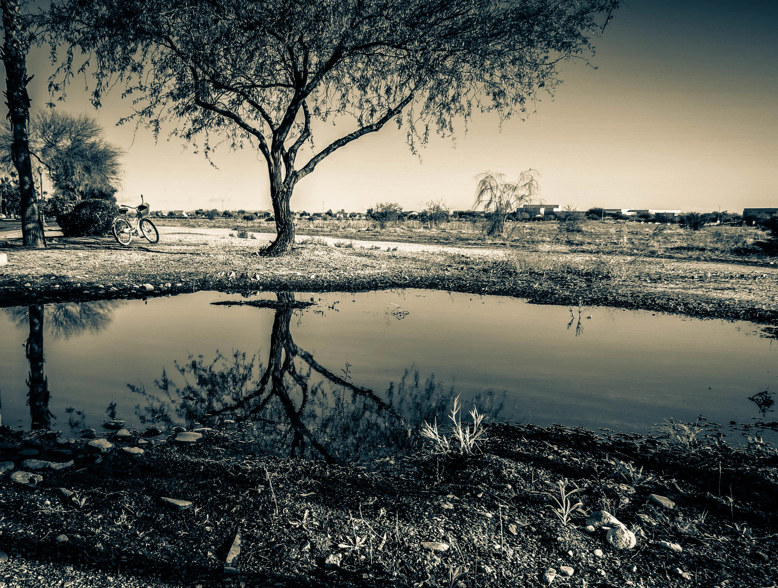 Puddle and Reflection