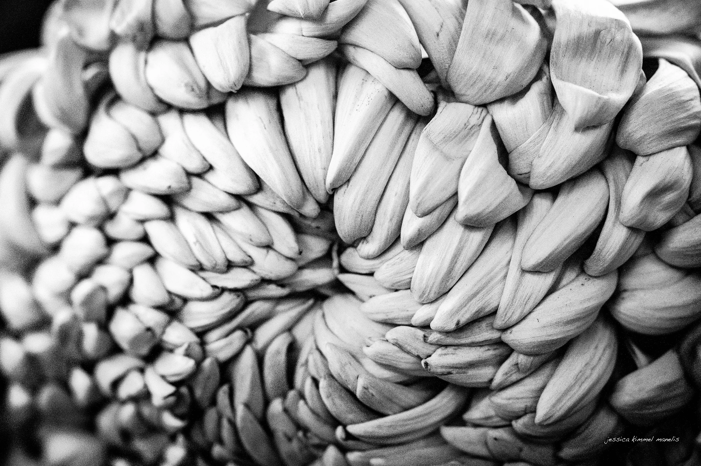 Delight in Simple Things