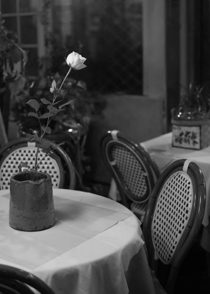 Bridget Wiss for "The Rose"