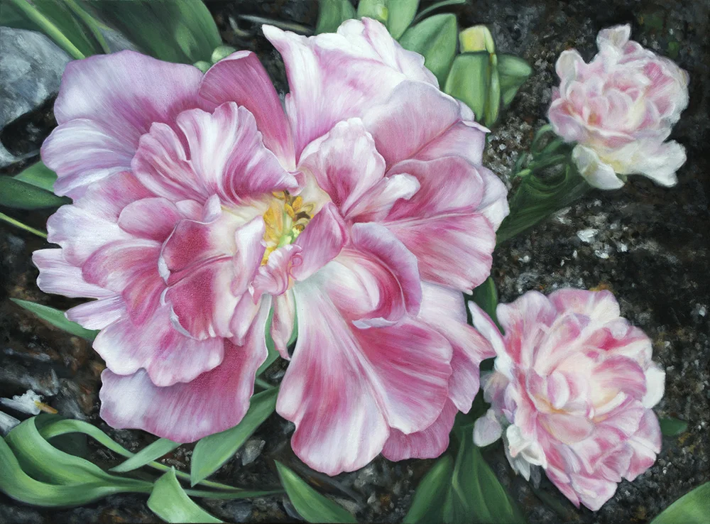 January 2015: &nbsp;ALL Paintings