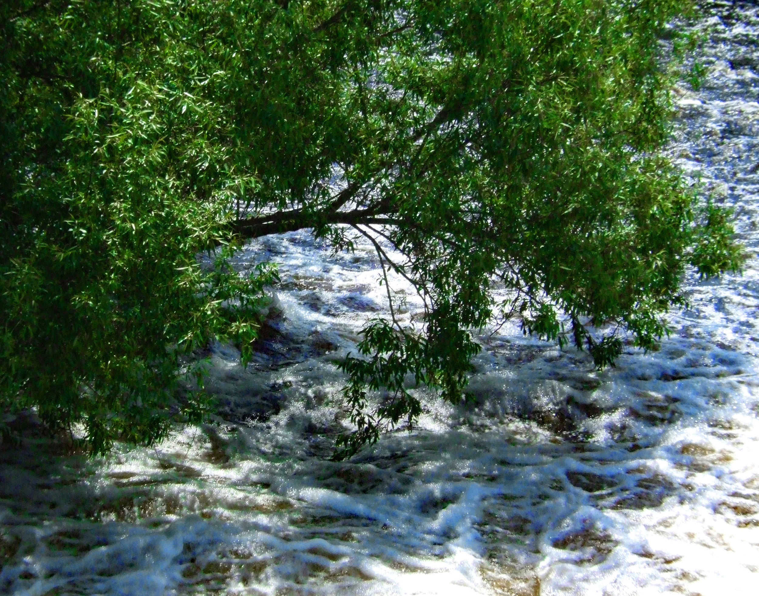 20496926-MarciaBergHaskell_RiverafterStorms_Digital_13x19_250.jpg