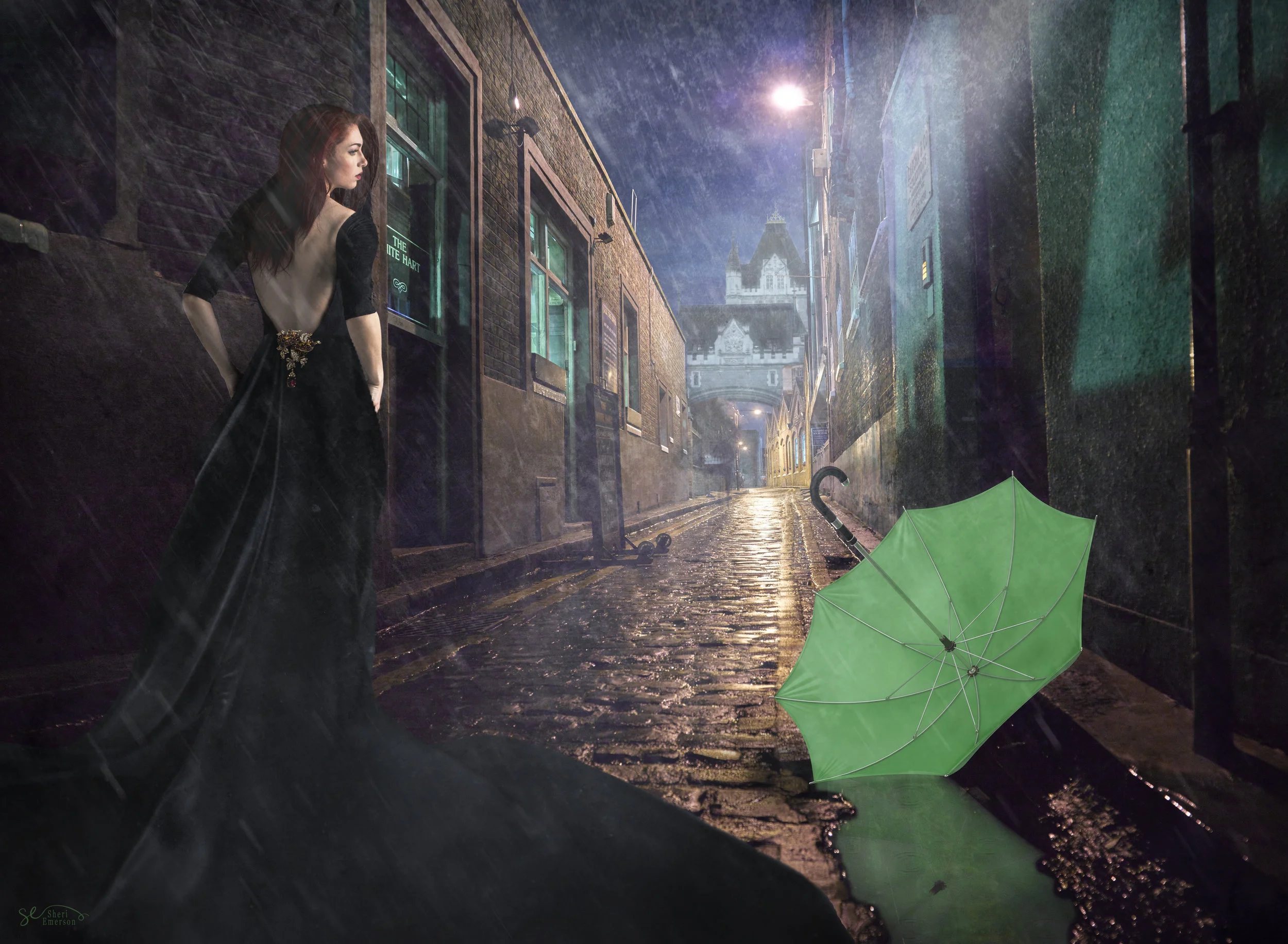 20496926-Emerson_SuddenDownpour SM_Photography_30x22_250.jpg