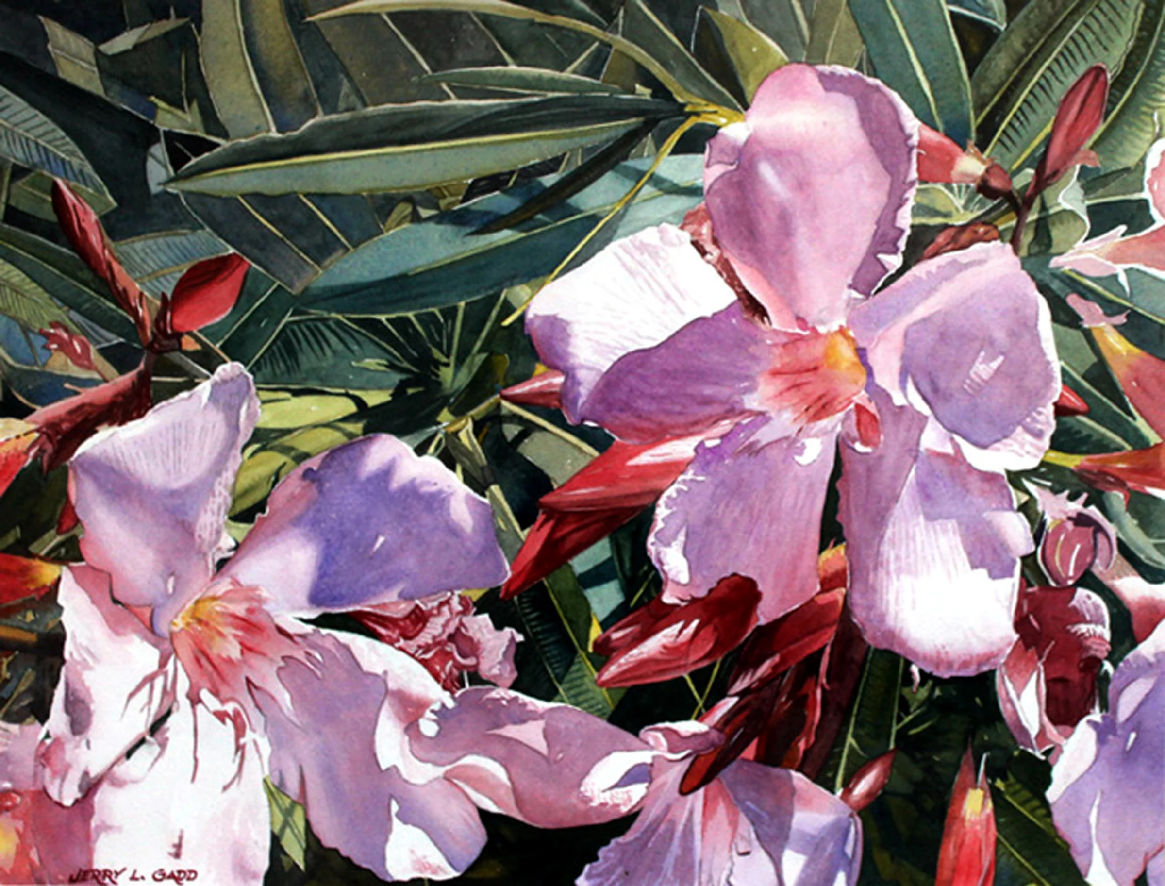 20496926-3. Floral Fanfare.jpg