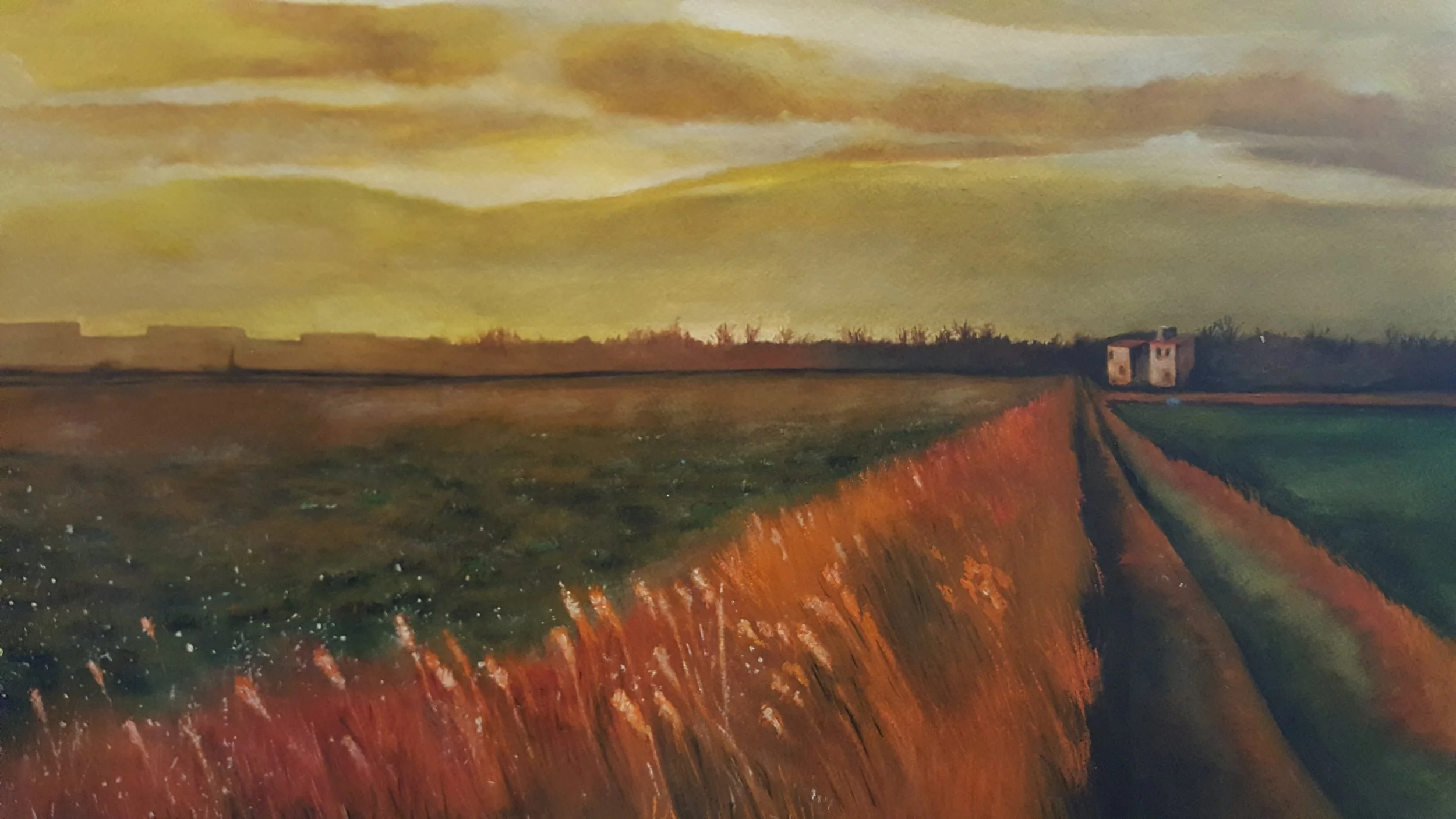 Sun Setting.jpg