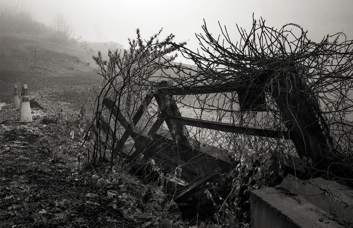 20496930-RogerGottlieb_oldfence_Photography_11x17_400.jpg