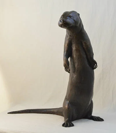 River Otter jpeg 1mb 72dpi.jpg