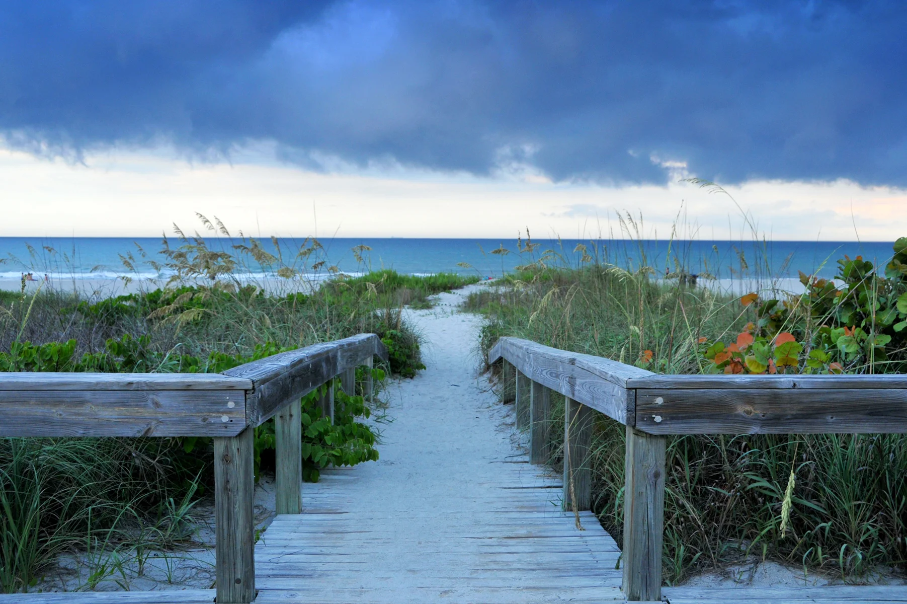 20496934-Pathway.jpg
