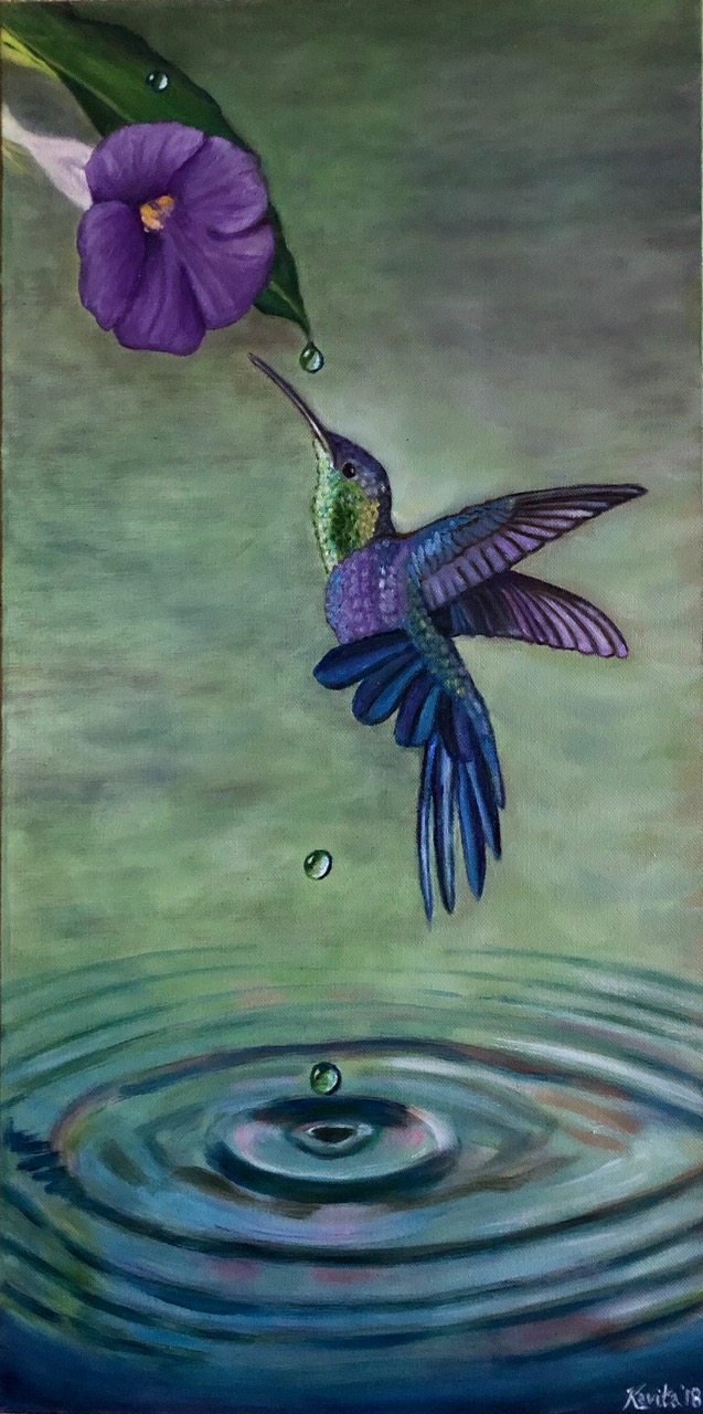 The Mystery of Hummingbirds.jpeg