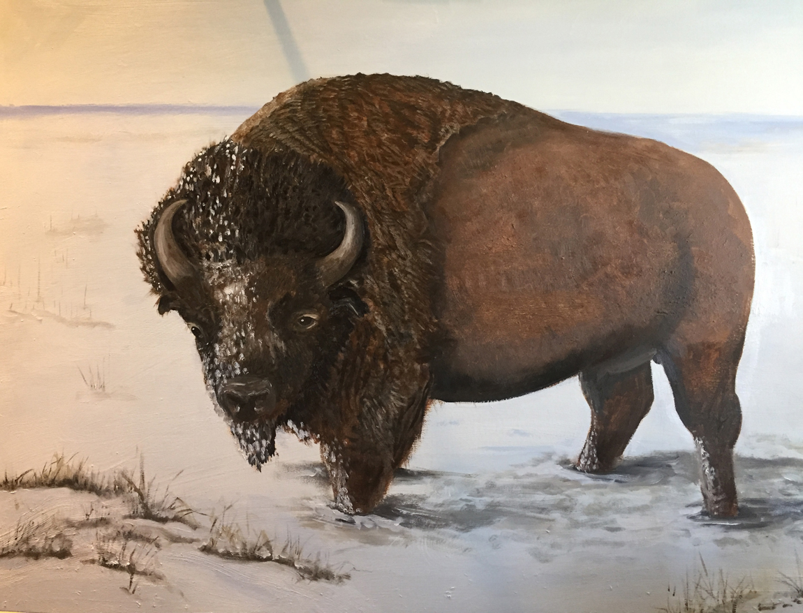 20496930-CristaBromley_Buffalo_Oil_18x24_.jpg
