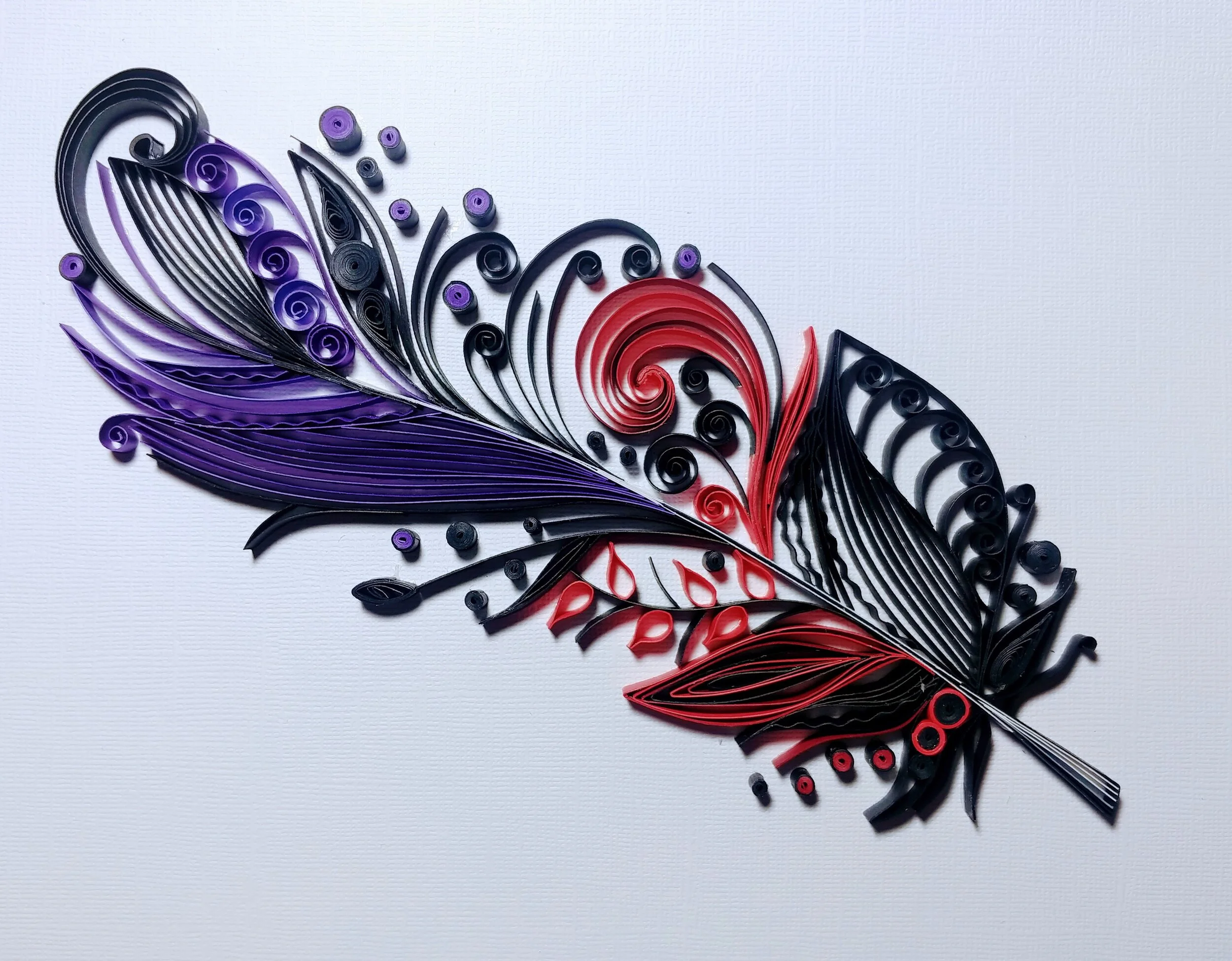 Queen's Feather.jpg