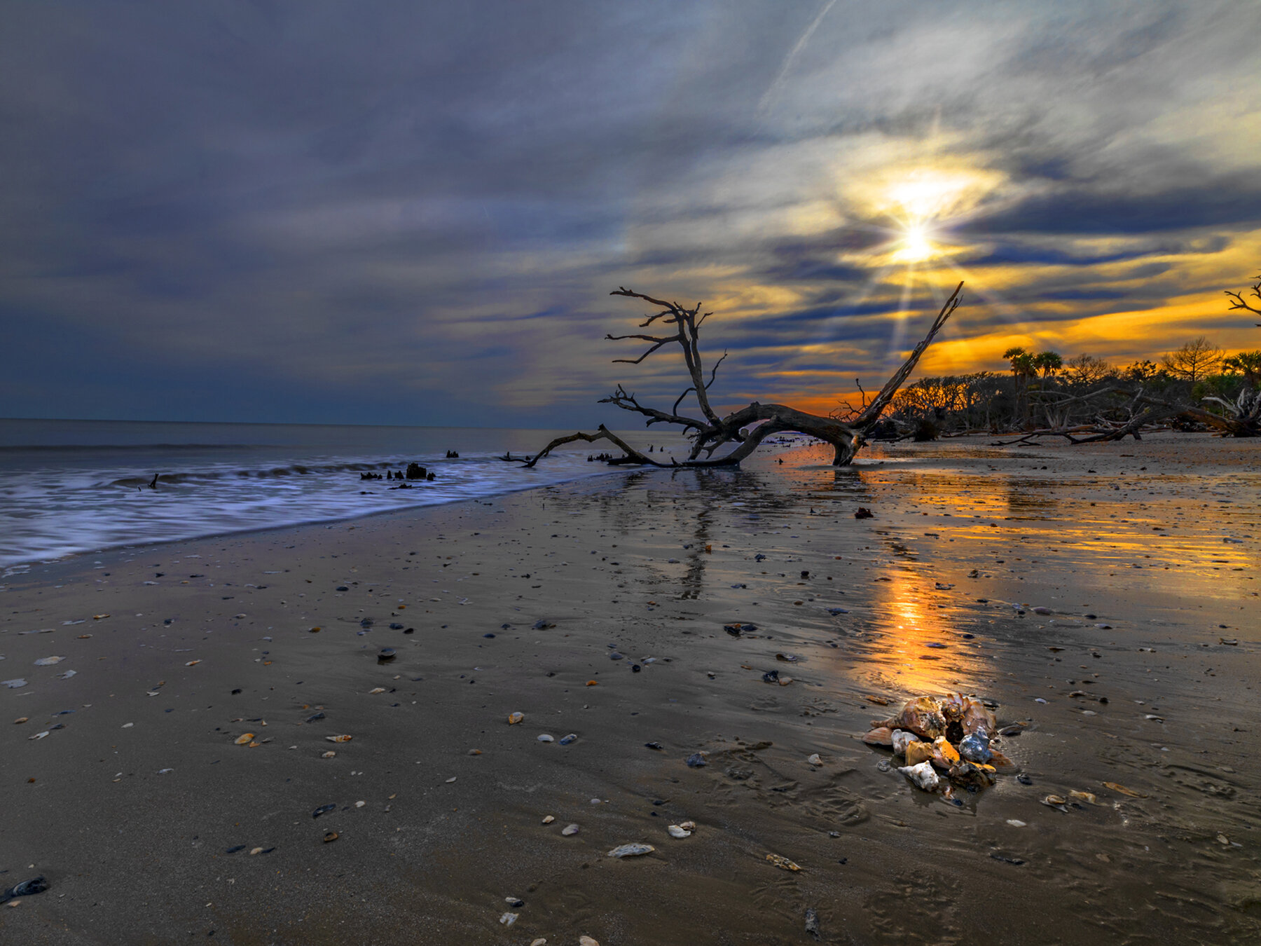 20496930-Botany Bay Magic.jpg