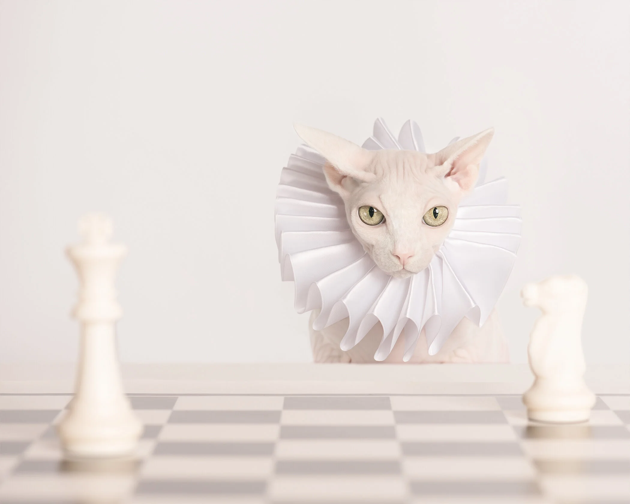 20496922-TatianaPolyakova_Who's the Queen here_Photography_7x5.6_500_2019.jpg