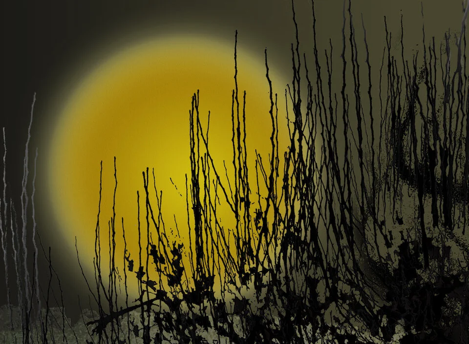 20496926-LillianneDaigle_Full moon_Digitalart_13X19_300.jpg