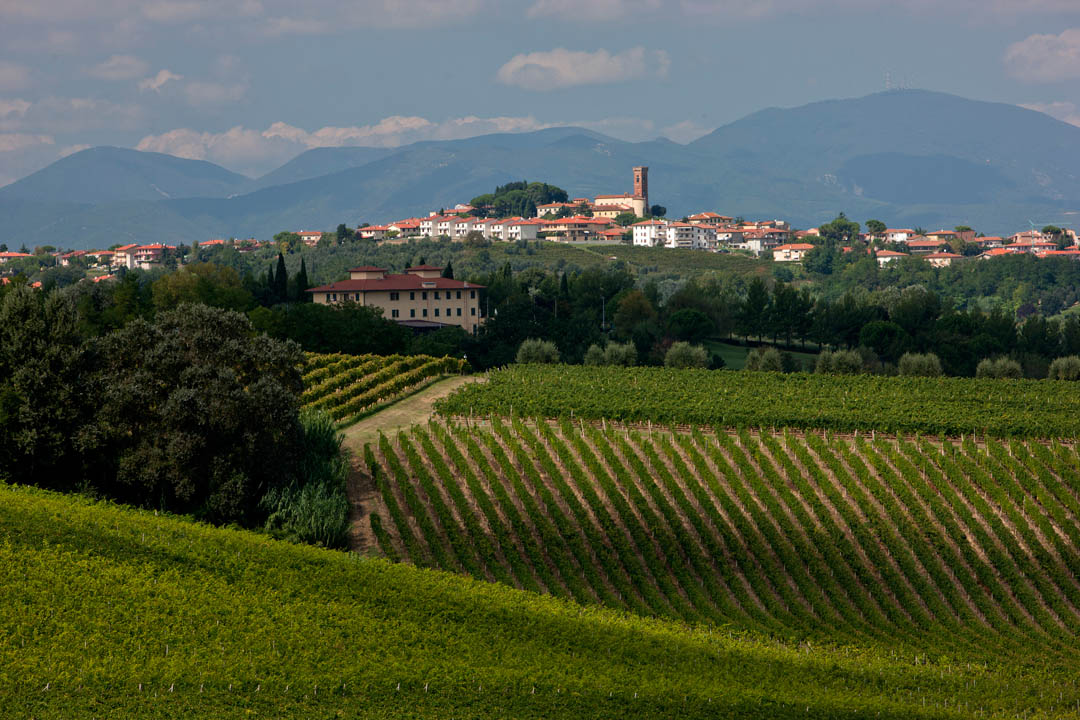 casanova outside 6.png