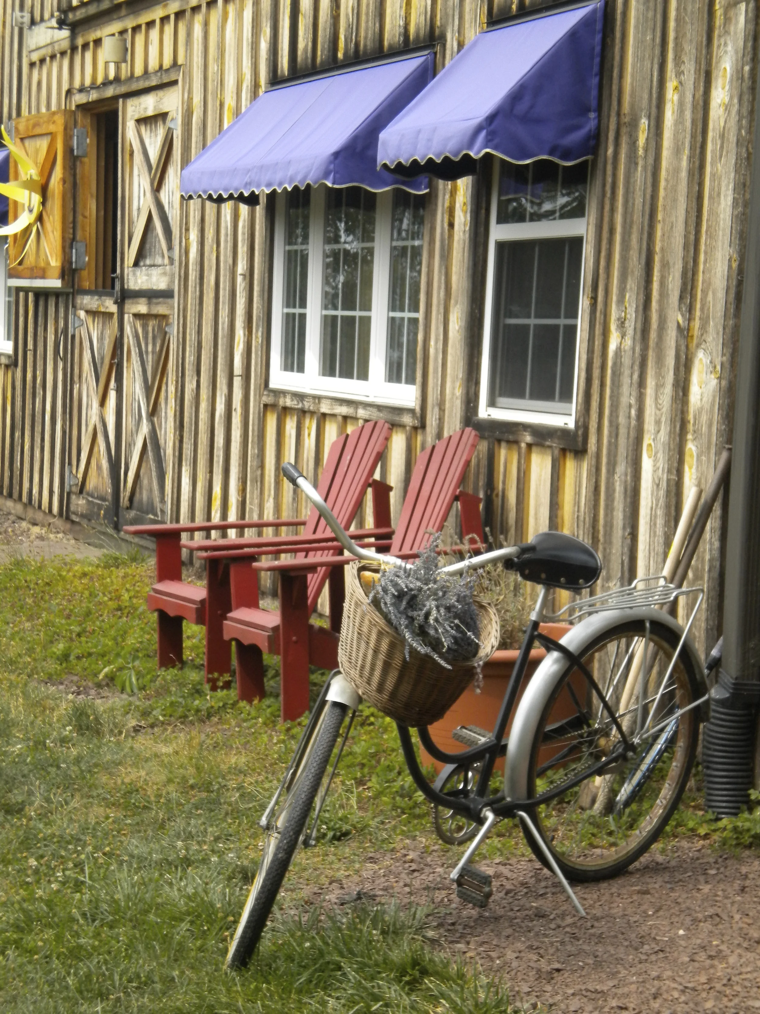 Peace Valley Lavender Farm 