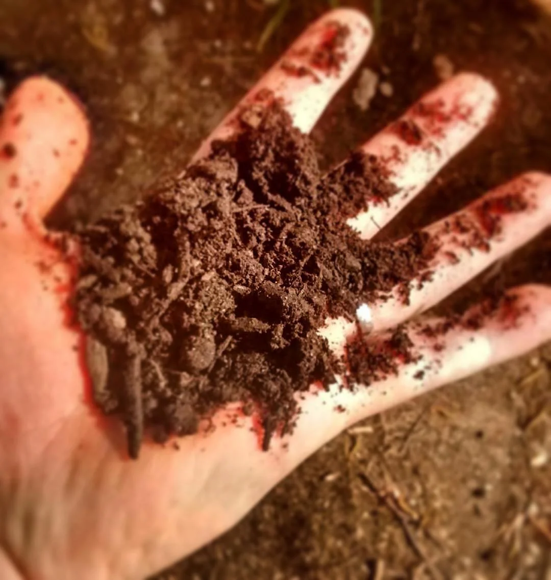 We turn it into nutrient-rich soil, which you can get back any time you ask!