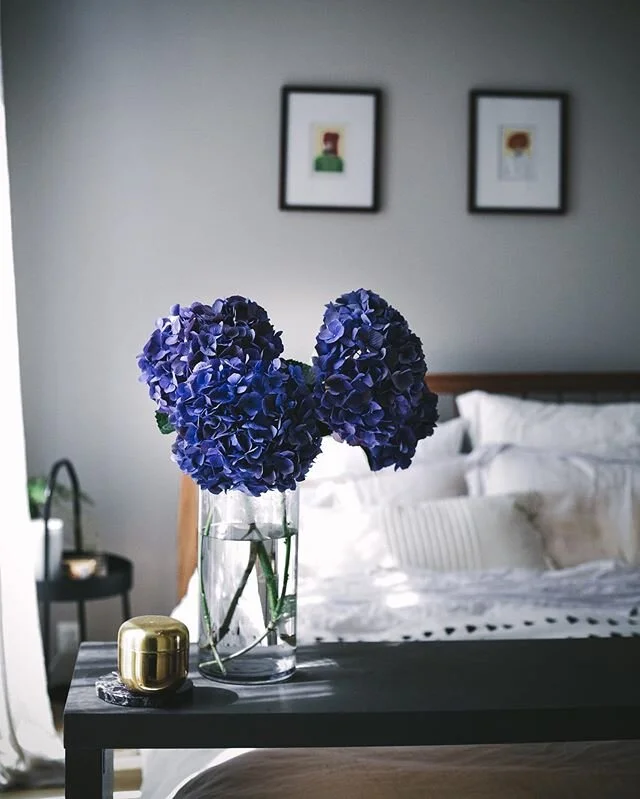 Day 1647 .
.
.
.
.
#flowerpower #interiordesign #interiordecorating #homedecor #hydrangealove #design #makeitbeautiful #forkandstory #aesthetic #Thaiblogger #makelifebeautiful #postitfortheaesthetic #simplejoys #livebeautifully #beautifulmatters  #pu