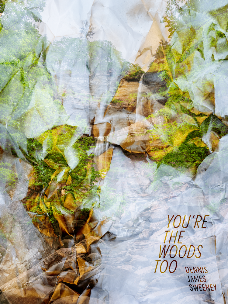 You're The Woods Too