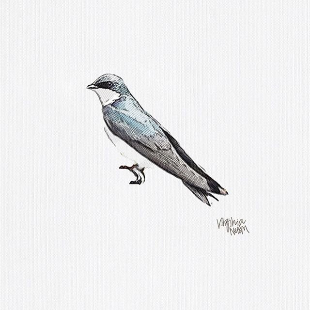 My first #bird print 🐦
