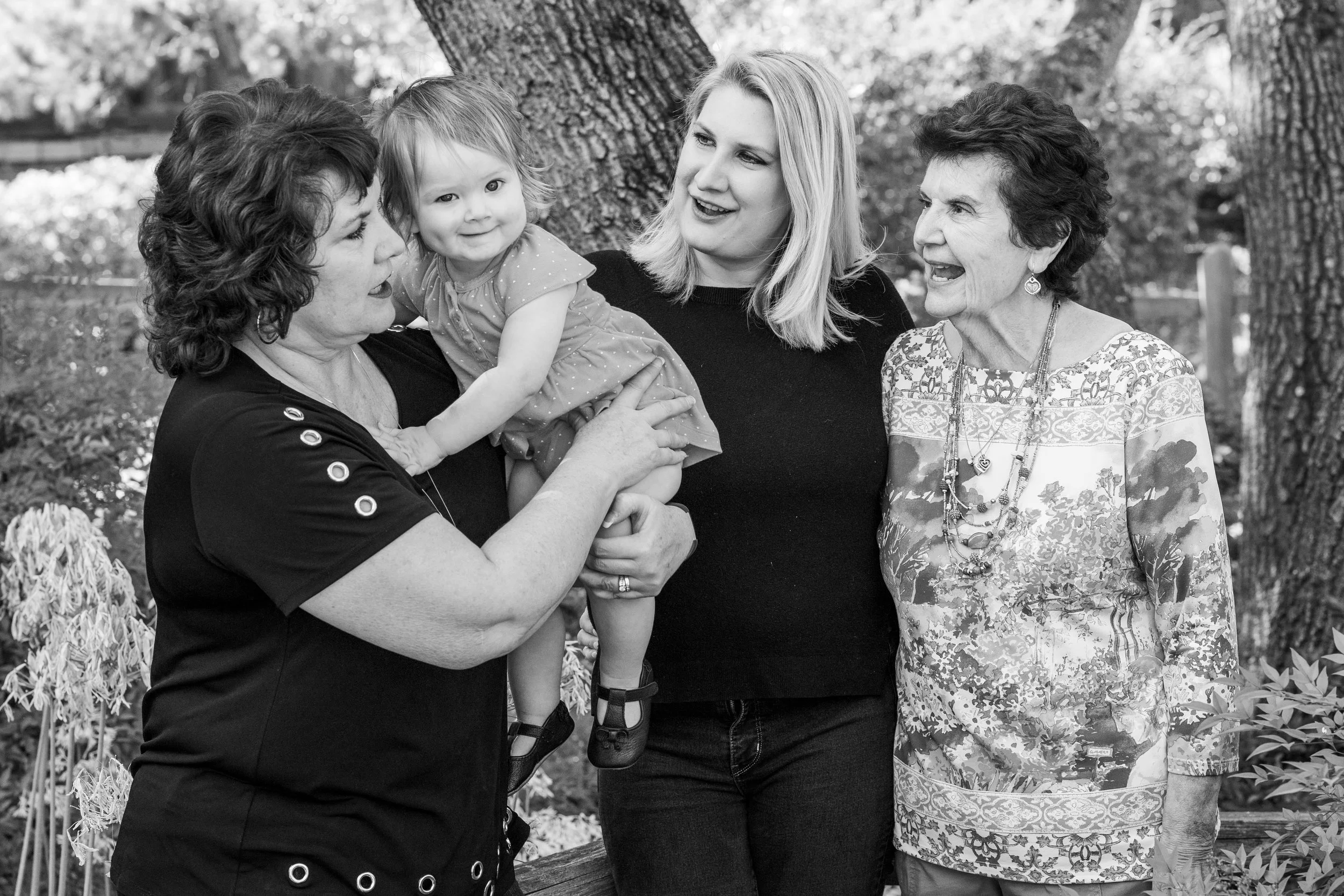 Four Generations