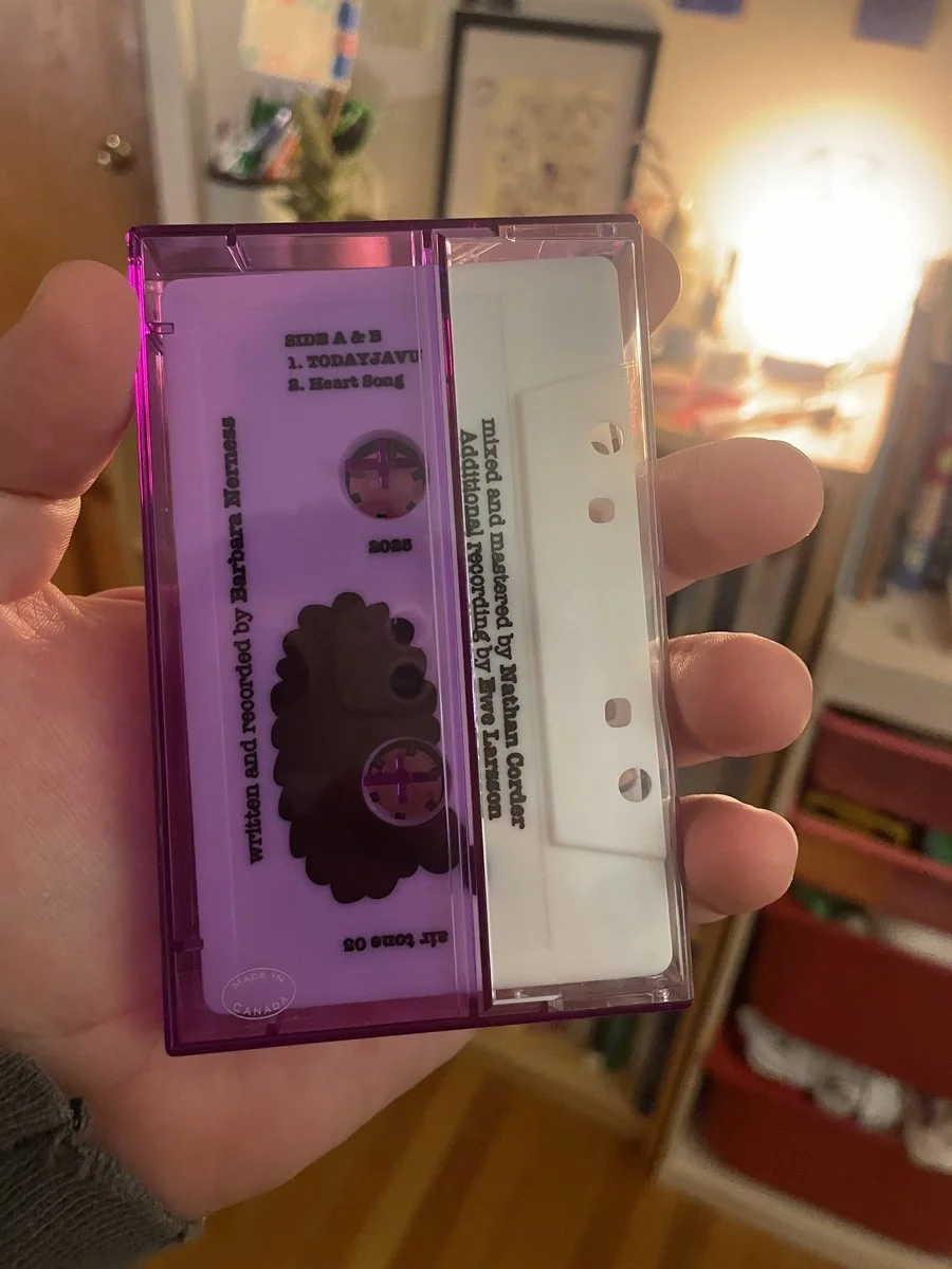 cassette2.jpg