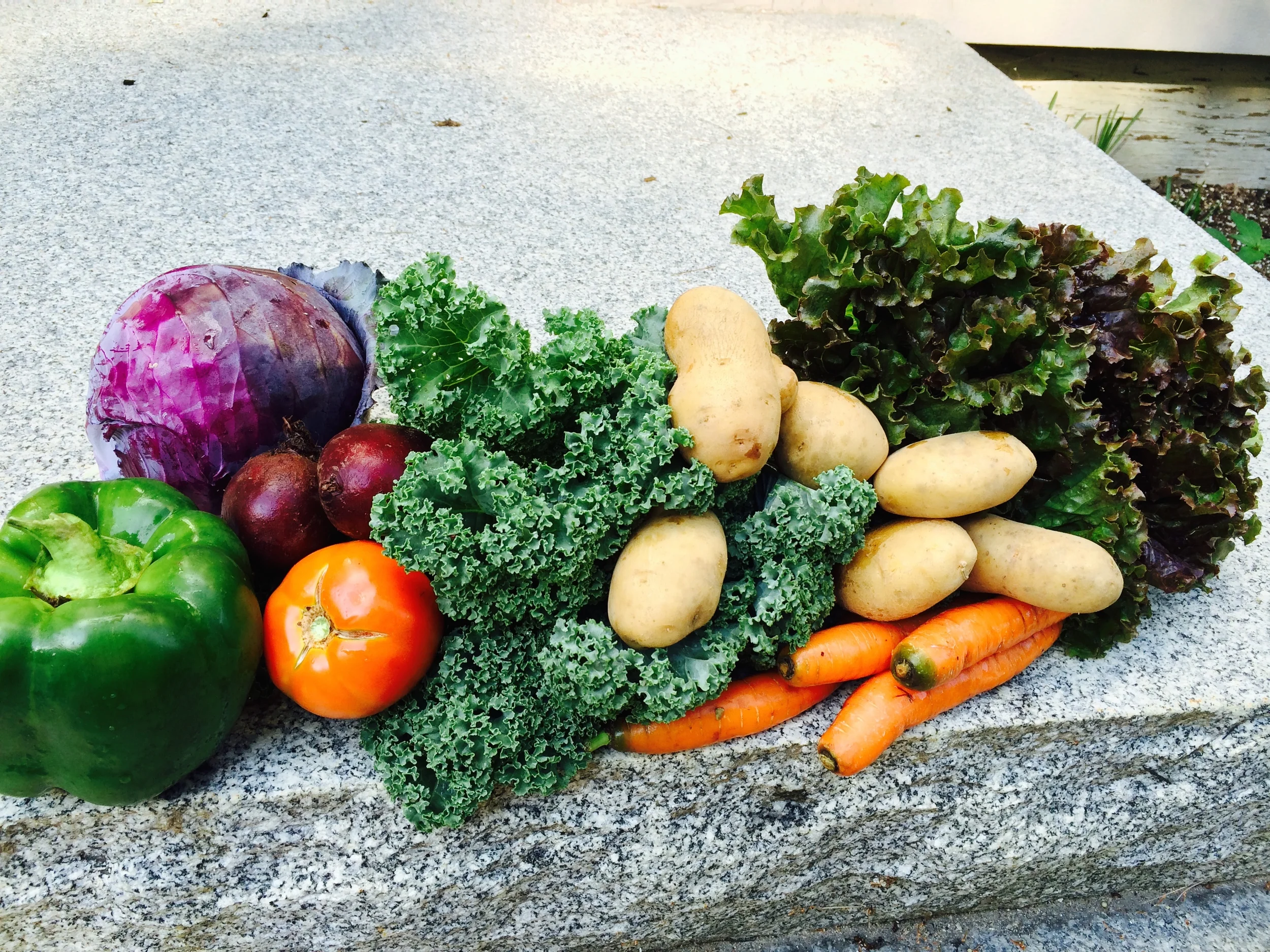 Community Supported Agriculture (CSA): Why Organic Farming Matters