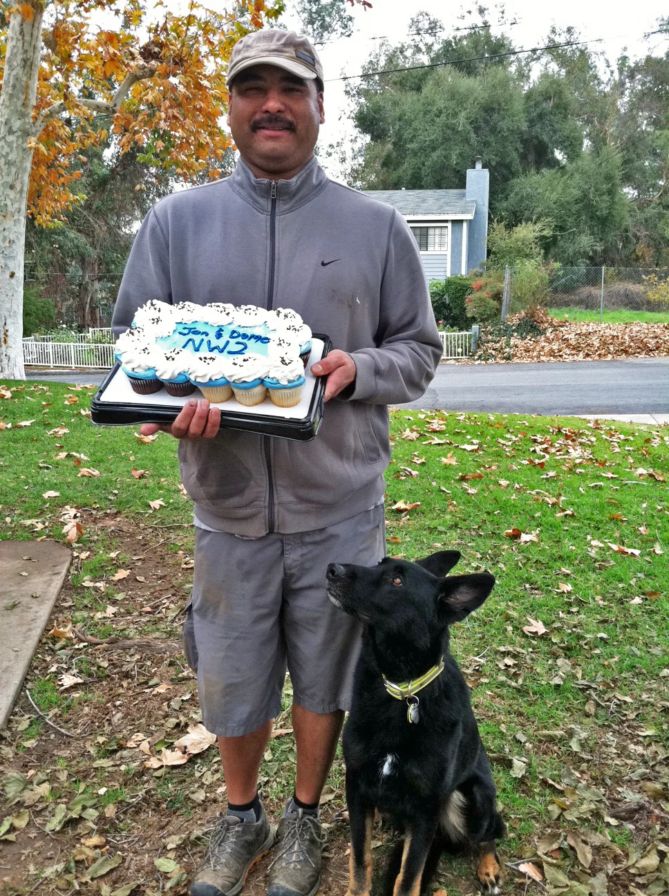 Jon and Domo NW2 title cake 2.JPG