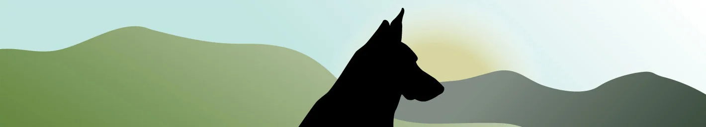 cropped fido_banner.jpg