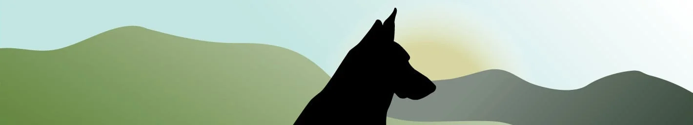 cropped fido_banner.jpg