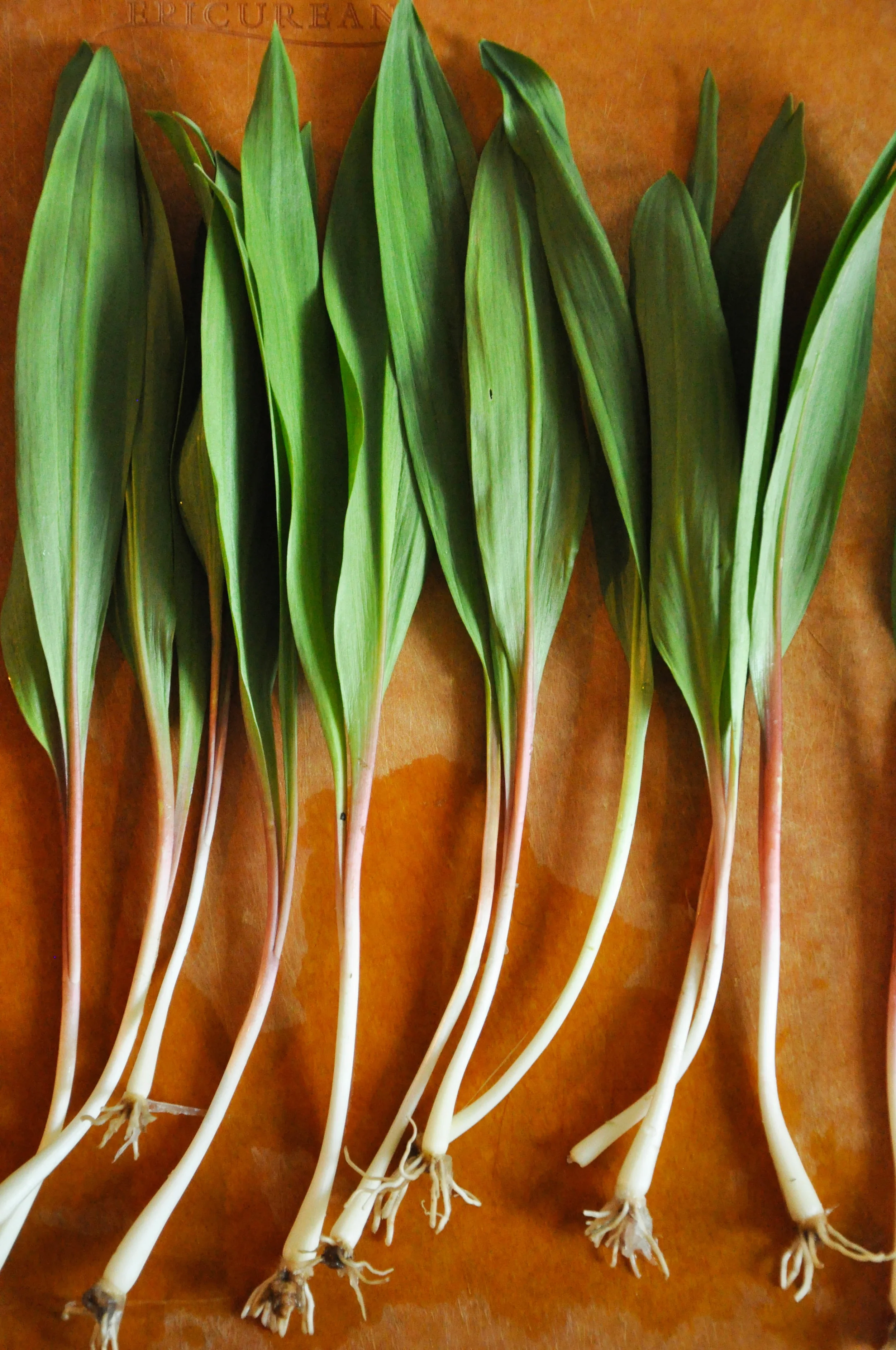 pea_asparagus_salad2.jpg