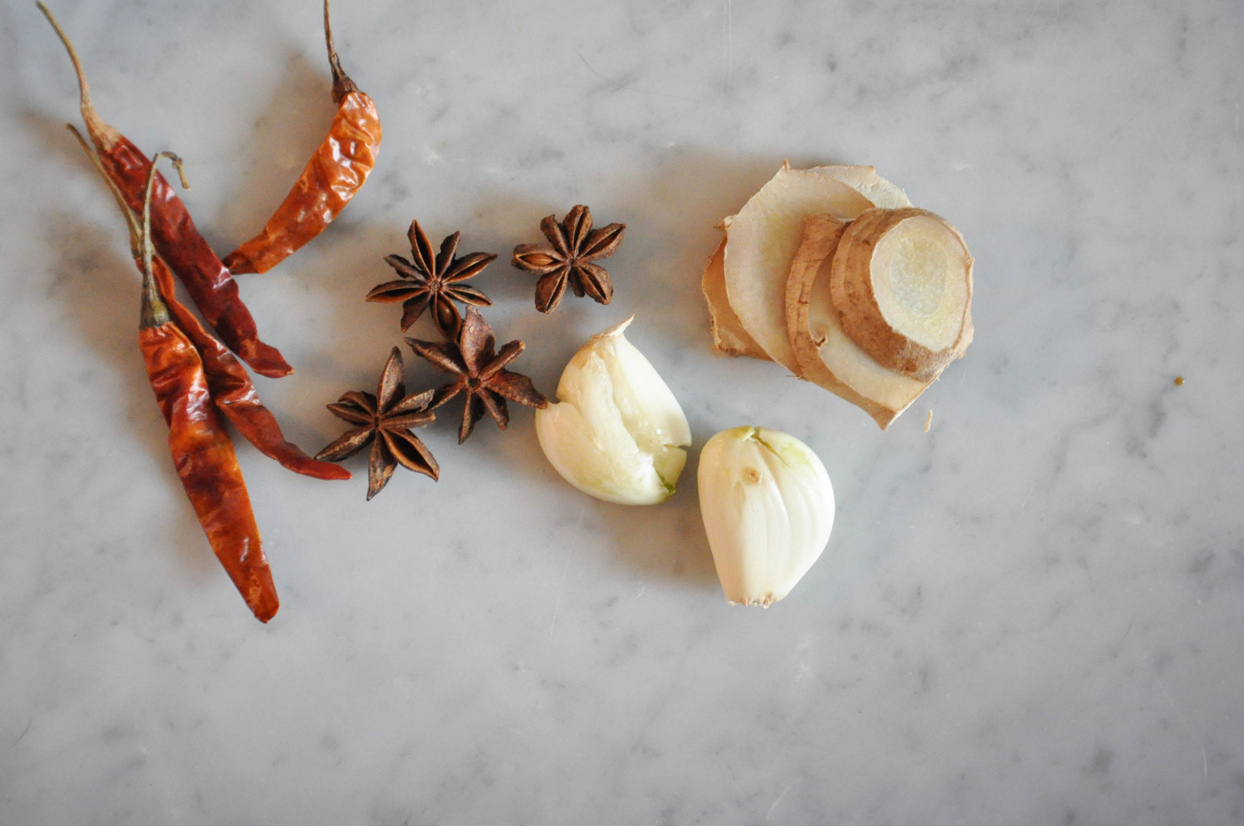 Red Braised Pork Riblets — O&O Eats