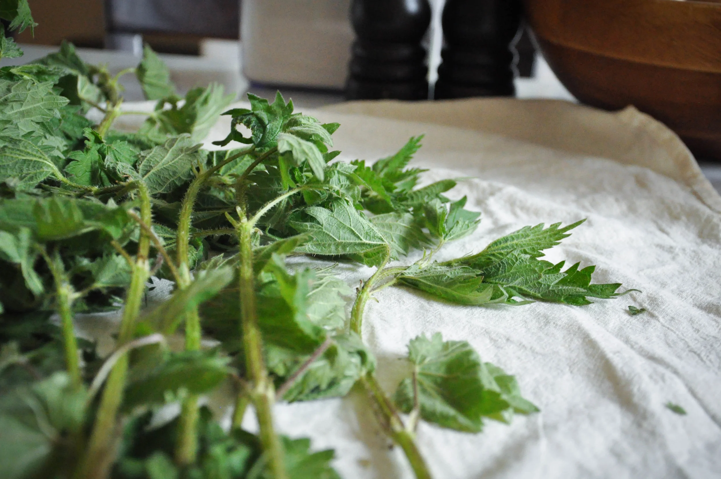 stinging_nettle_gnocchi3.jpg