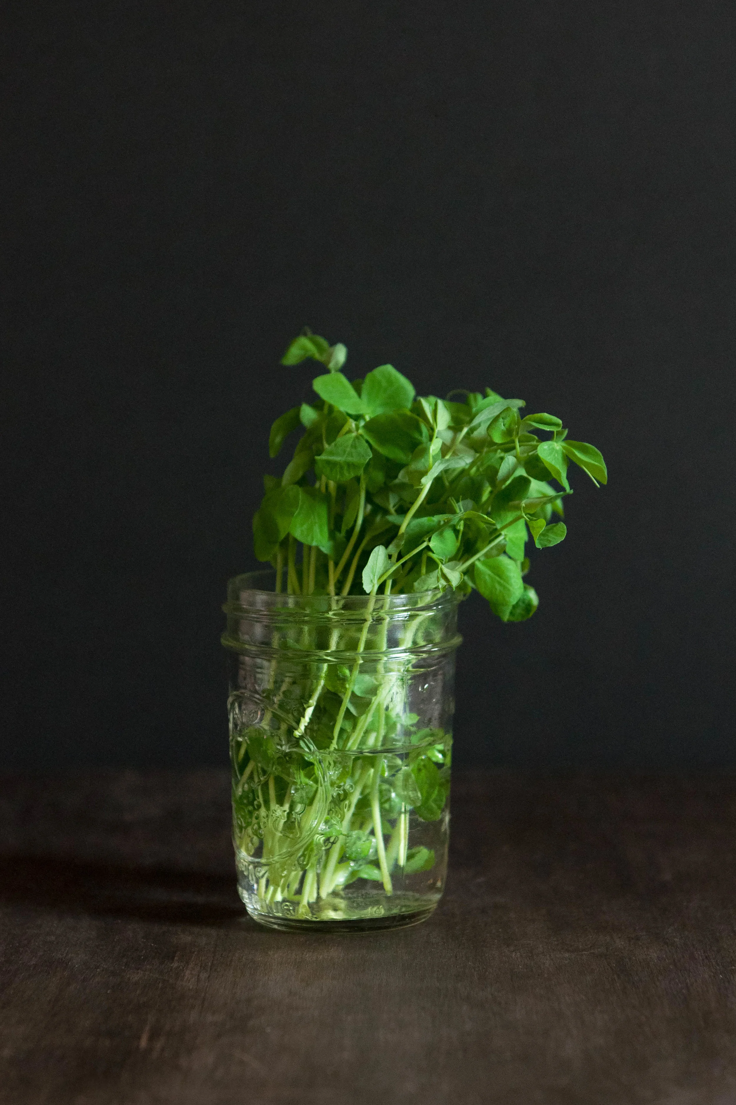 pea_leek_soup4.jpg